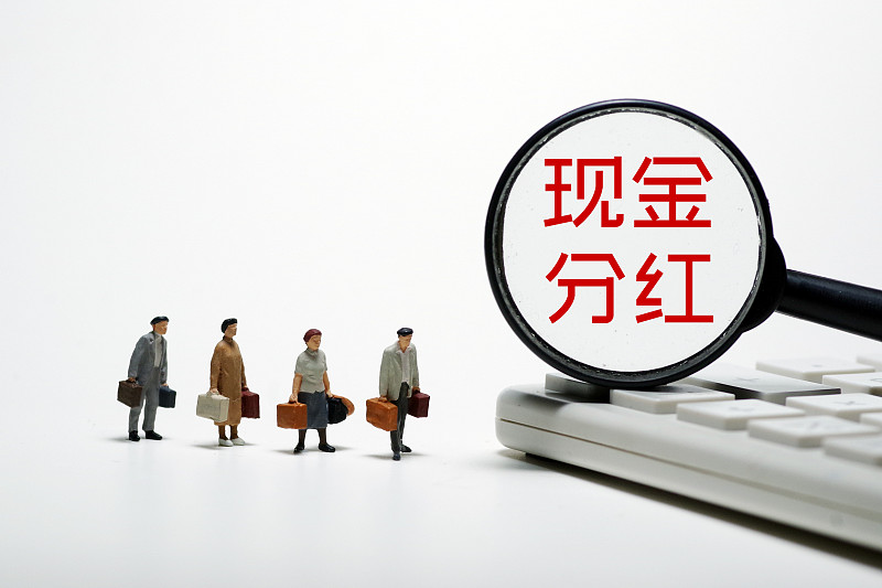 项目股份分红协议书