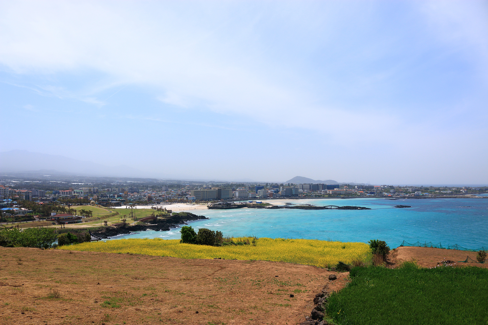hamdeok beach, west wu bong, wildflower, flower, beach,