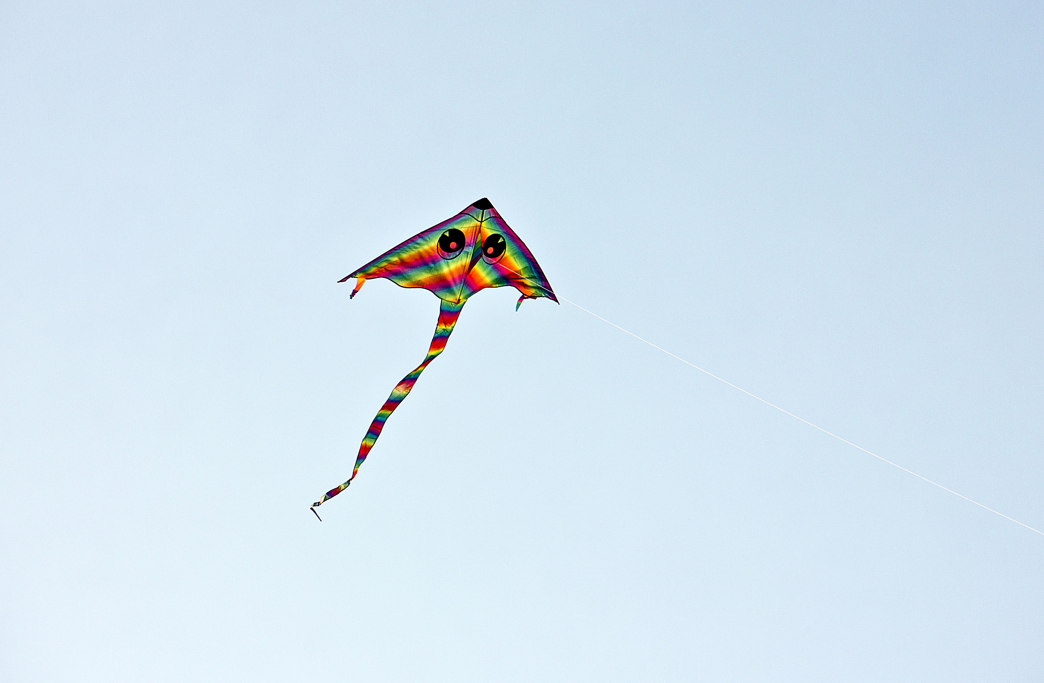 kite on the sky