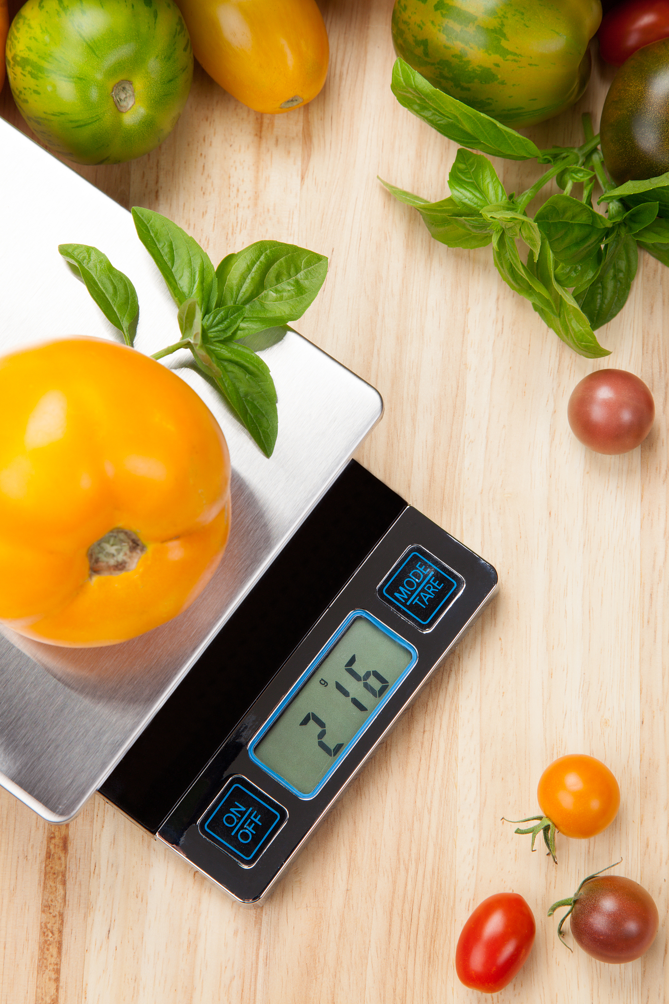 16 补充题 3：称重应用领域解析 - 5 种常用秤及精度