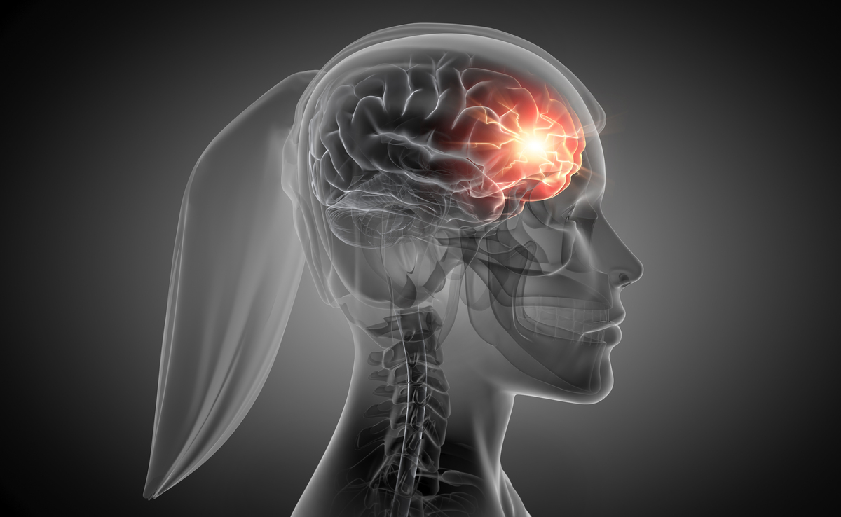 探索大脑奥秘：结构、功能、学习和保护