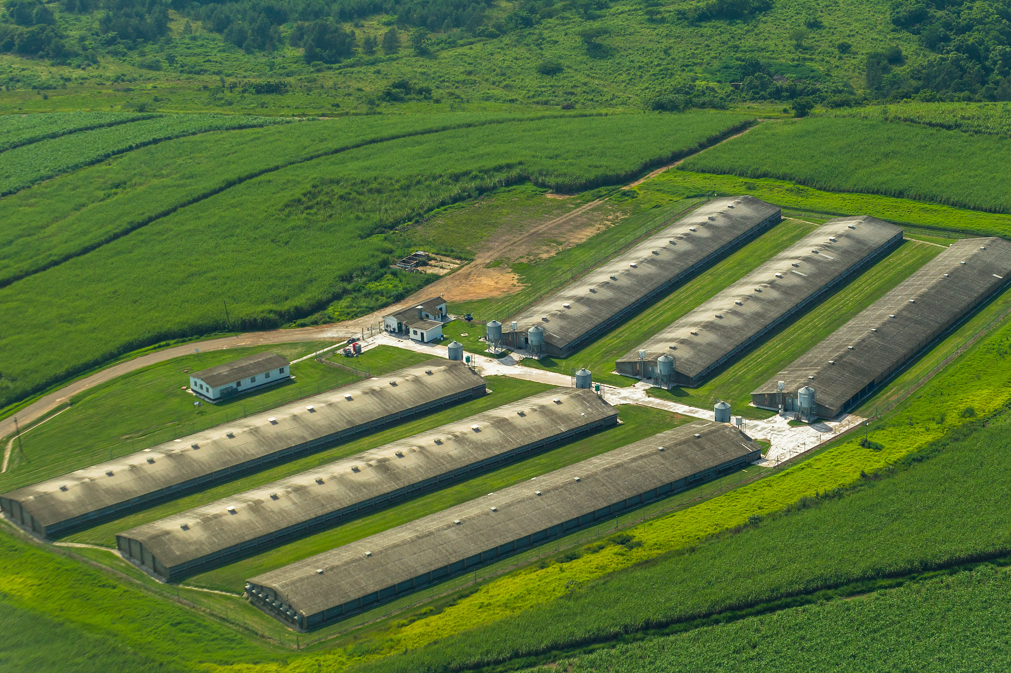 家禽养殖场粪污处理技术与资源化利用研究进展