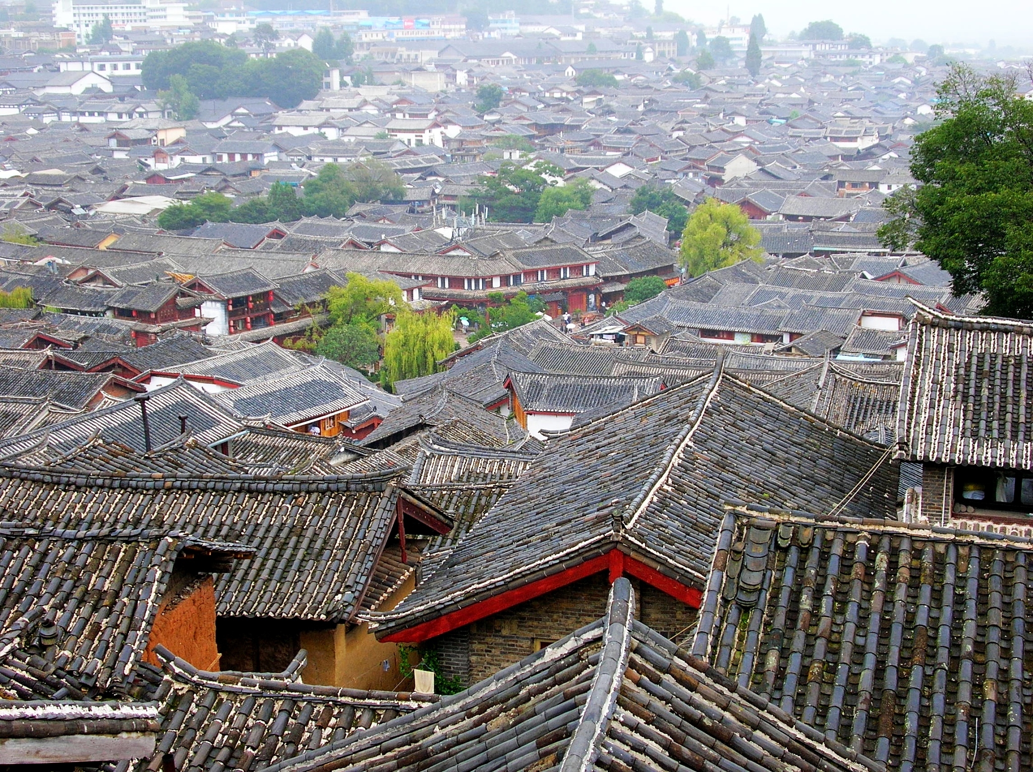 从潍坊到丽江怎么去