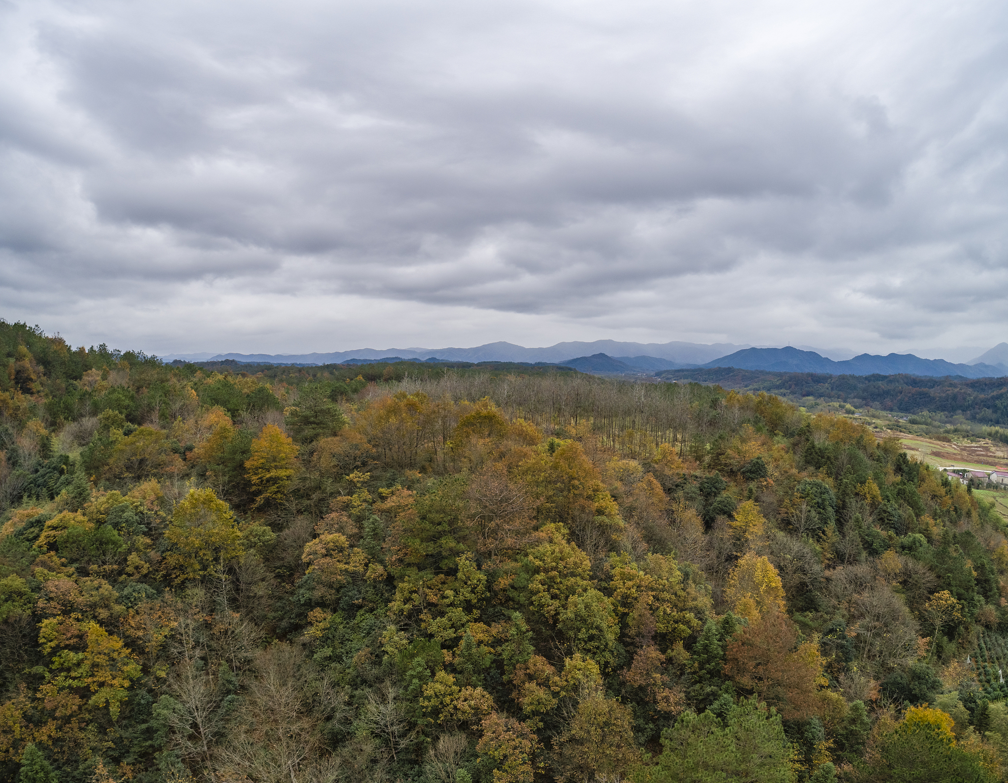 帮我设计一个回家过年的创意故事