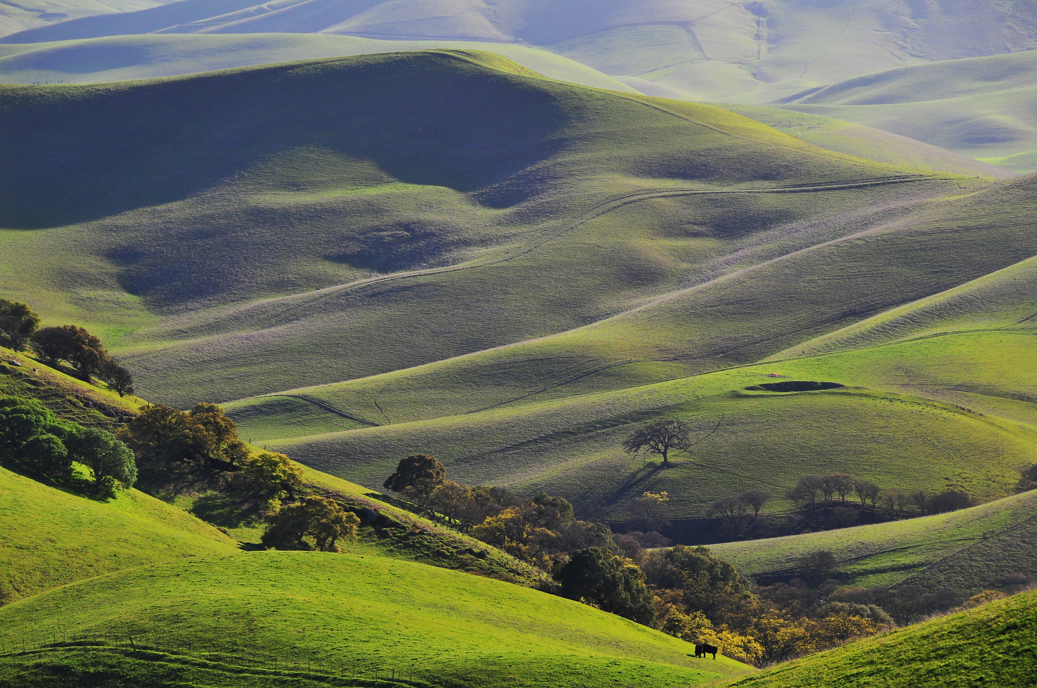 green rolling hills of central california