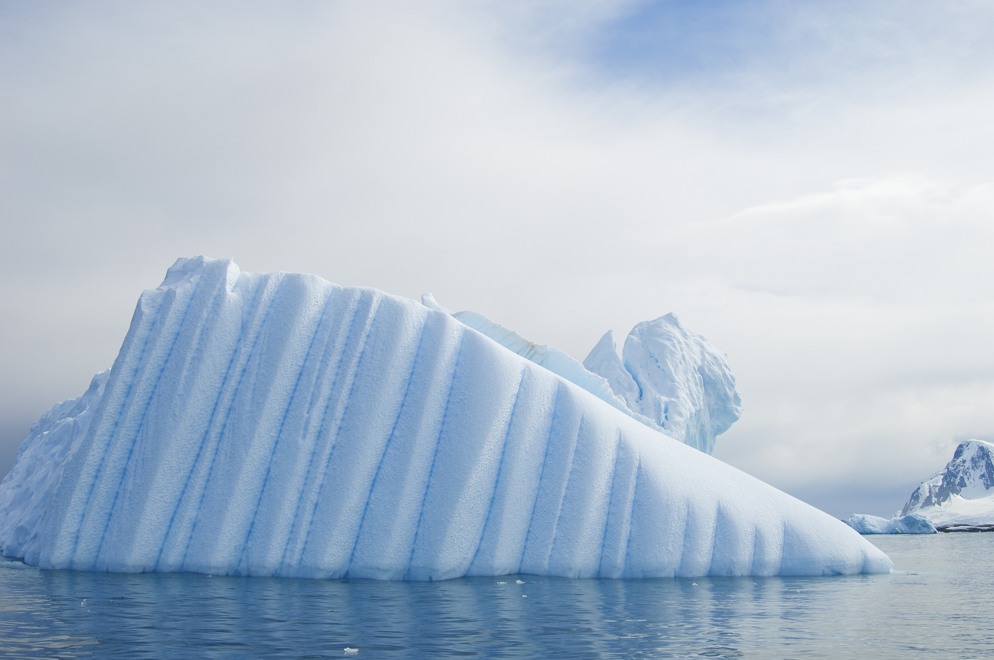 iceberg along the antarctic peninsula.