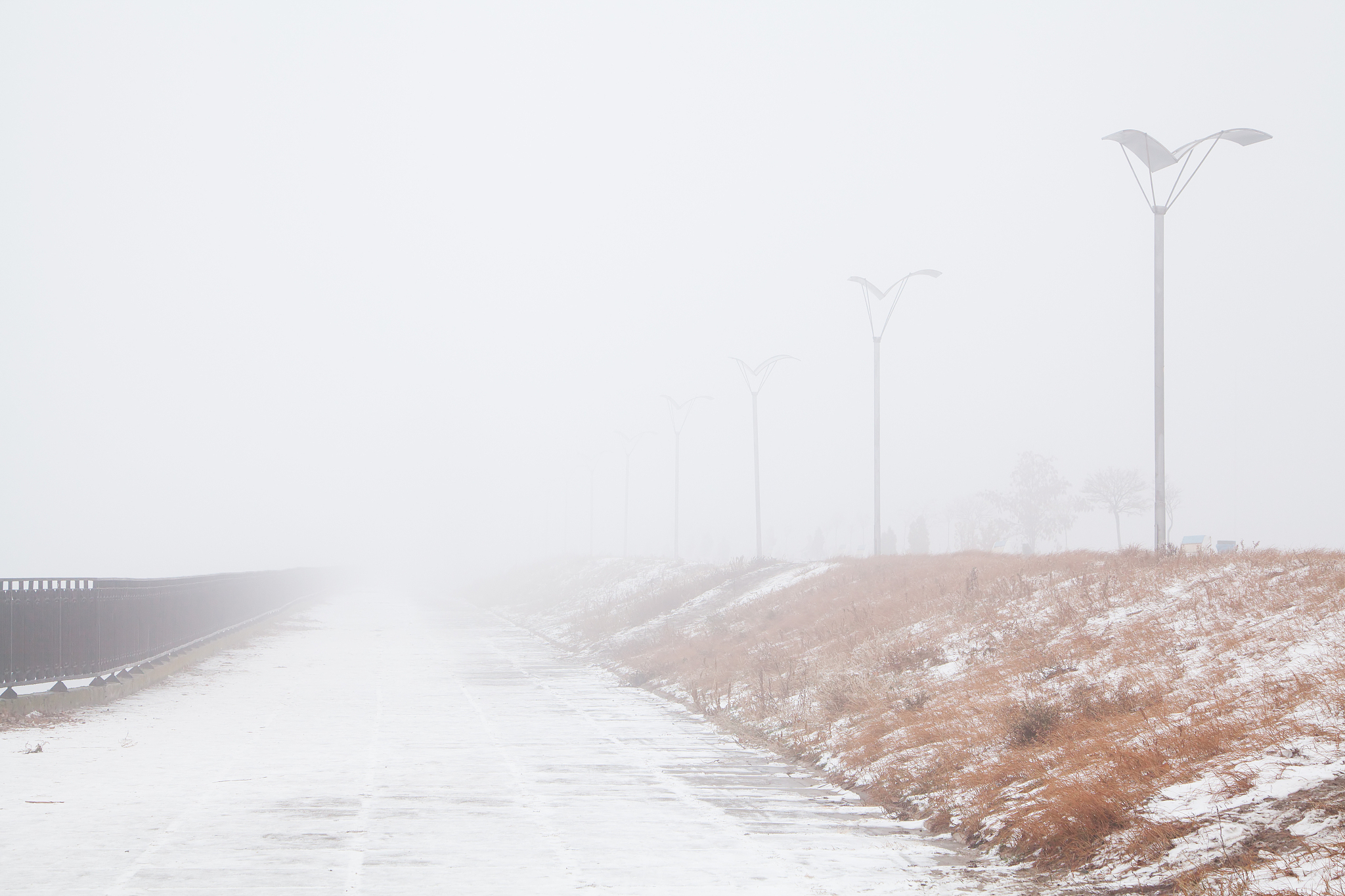 日本の整形文化：進化論、地理、社会文化が織りなす美への追求