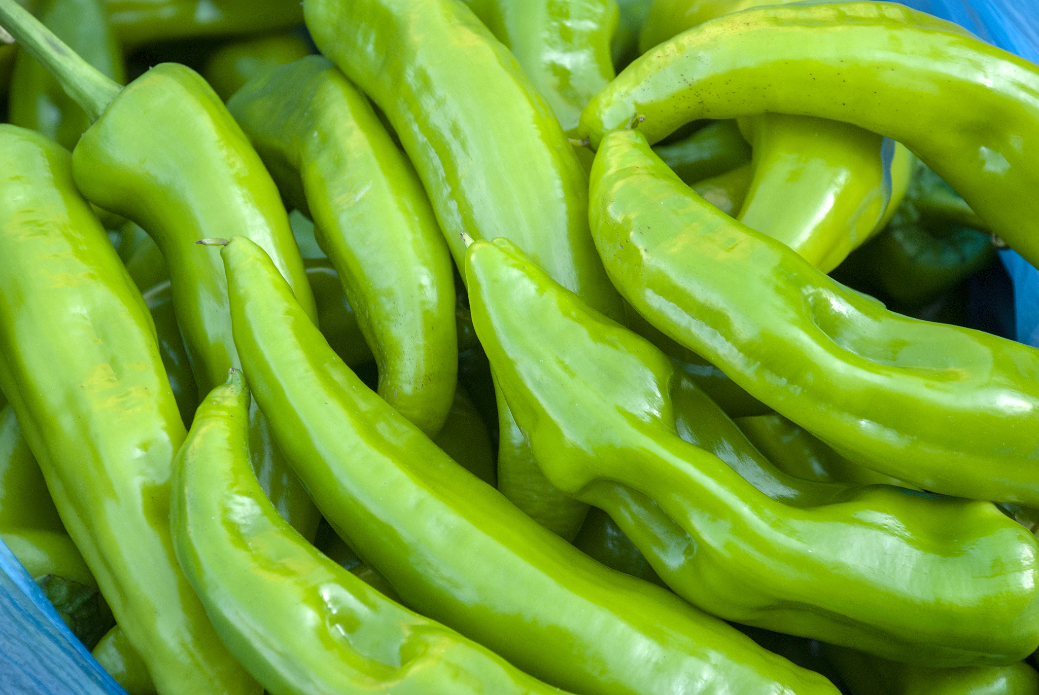 黄皮椒和青尖椒的区别，