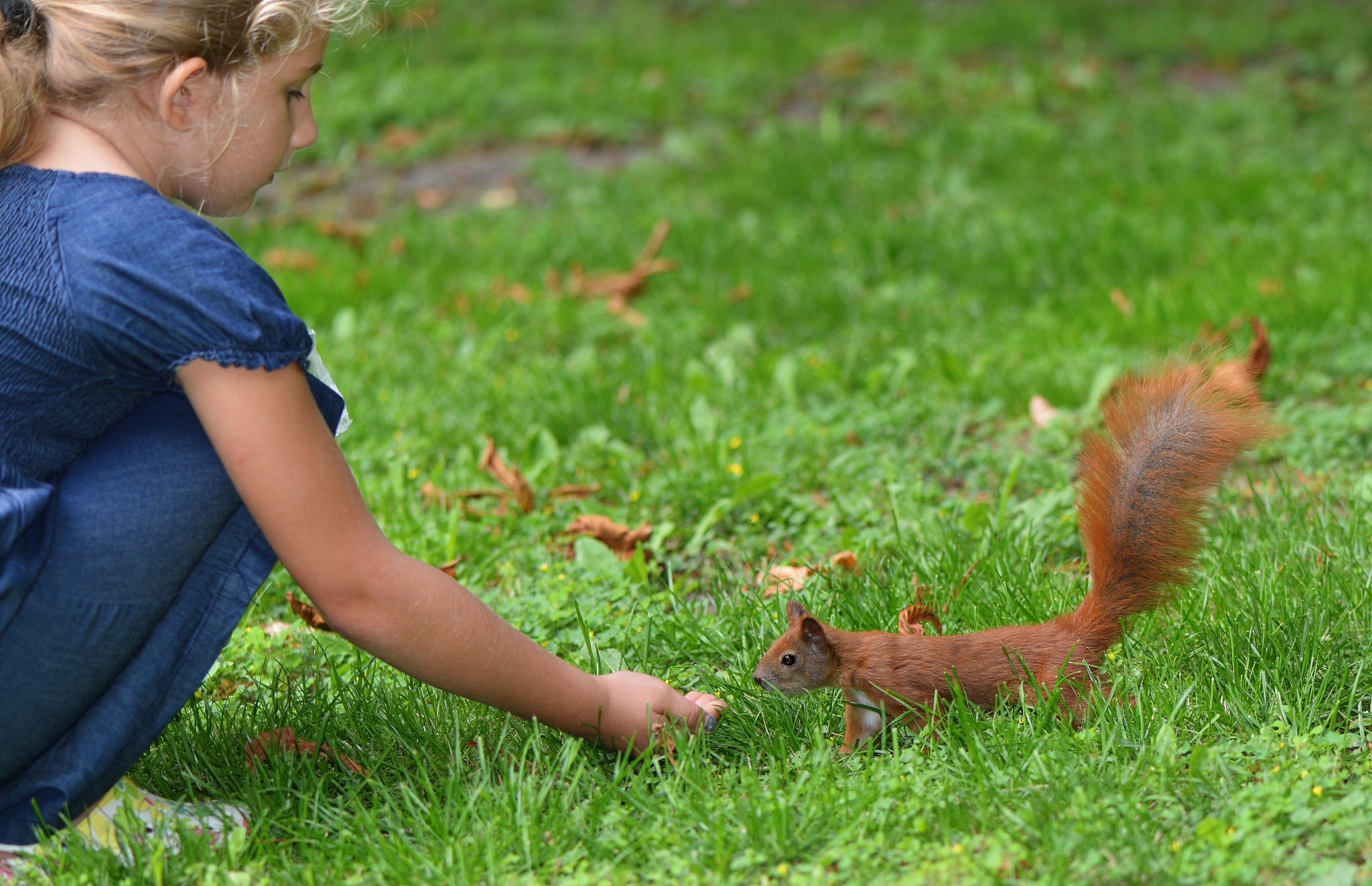 那时候孩子们也在这里逗小松鼠采野蔷薇吗