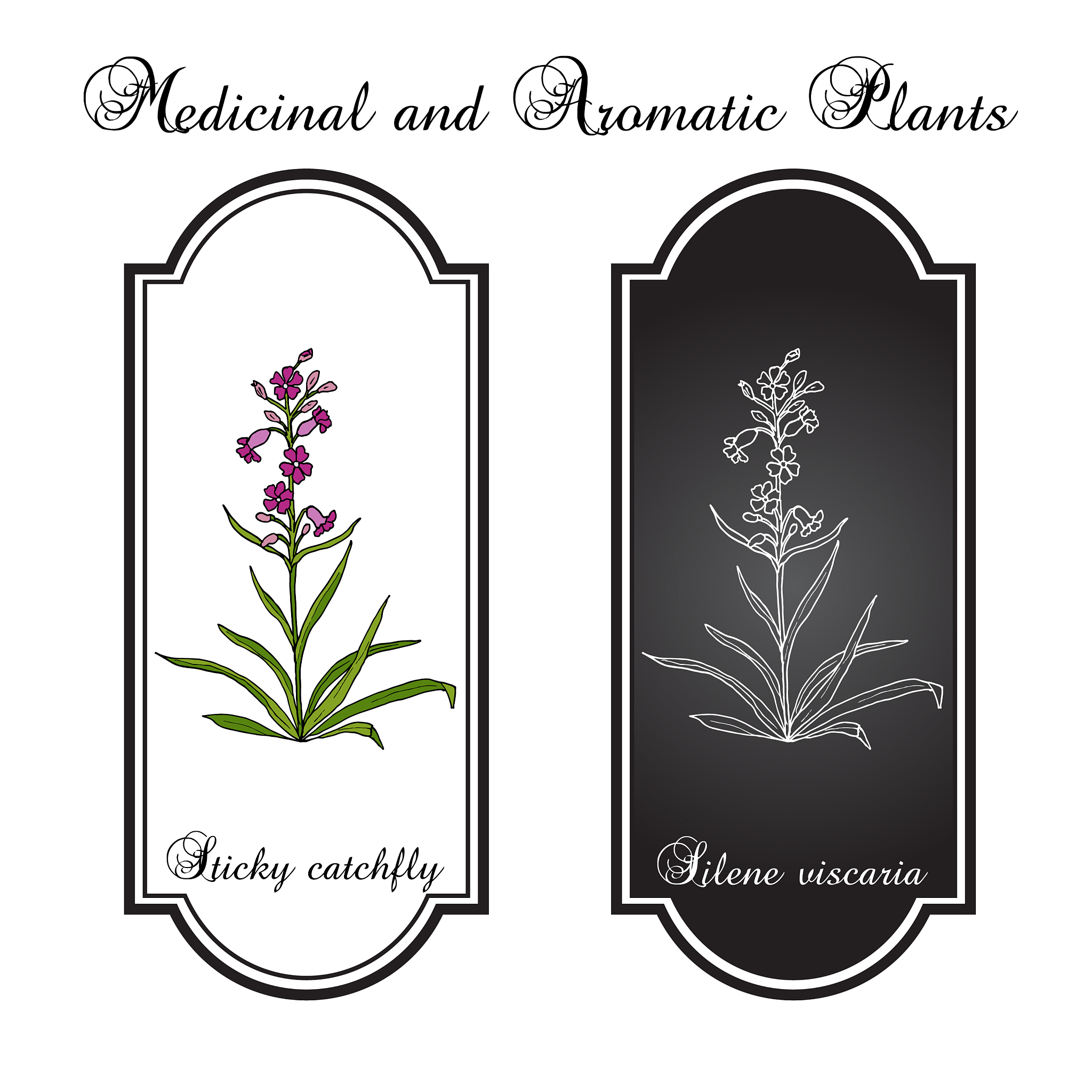 湖南环境生物职业技术学院有高铁乘务专业吗？