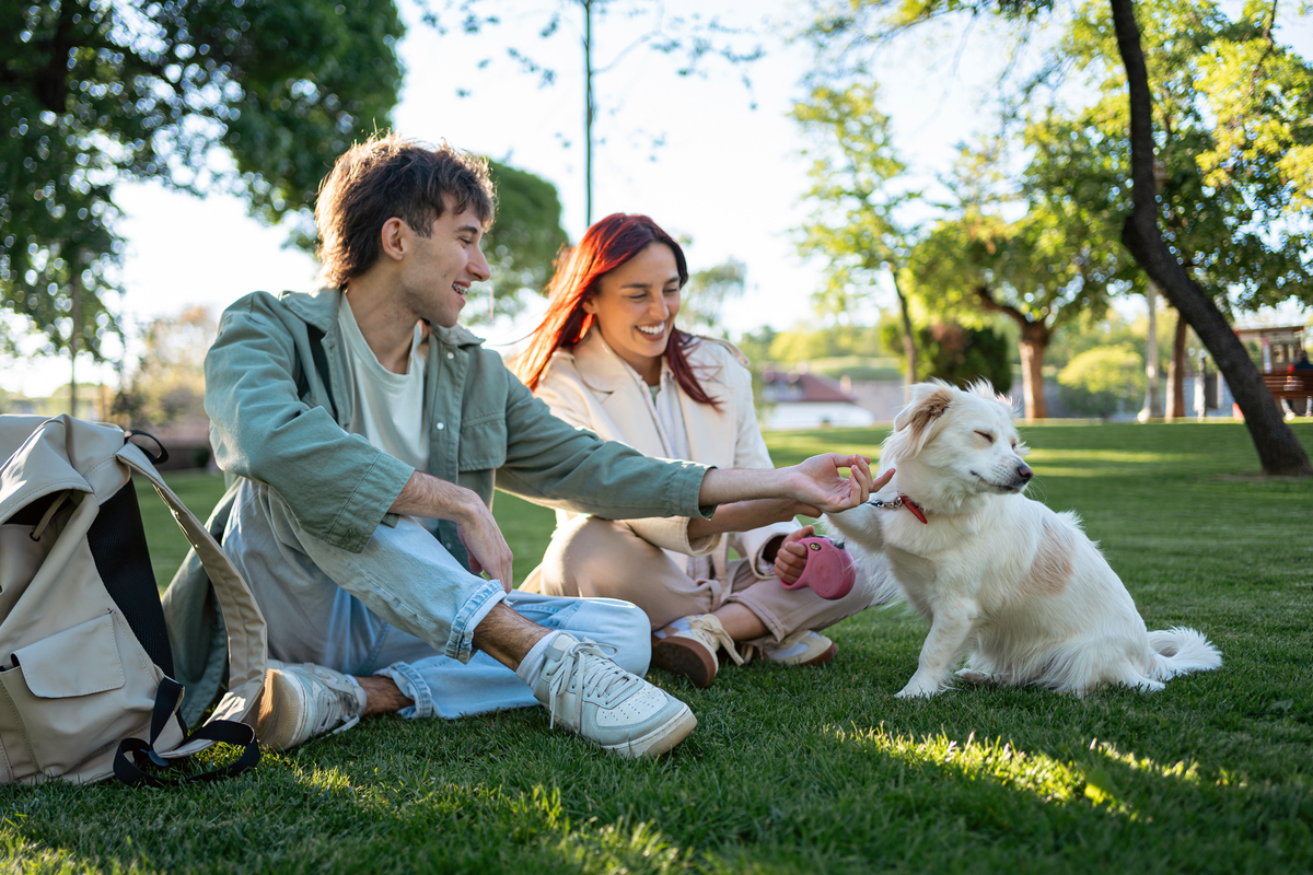 以帮助宠物建立友好的人际关系和与其他动物的互动为题写一篇1200文章
