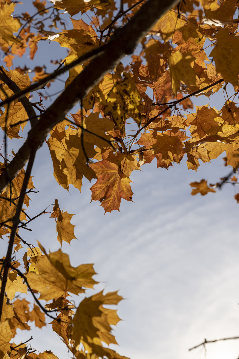 四川公办五年制大专学校有哪些？