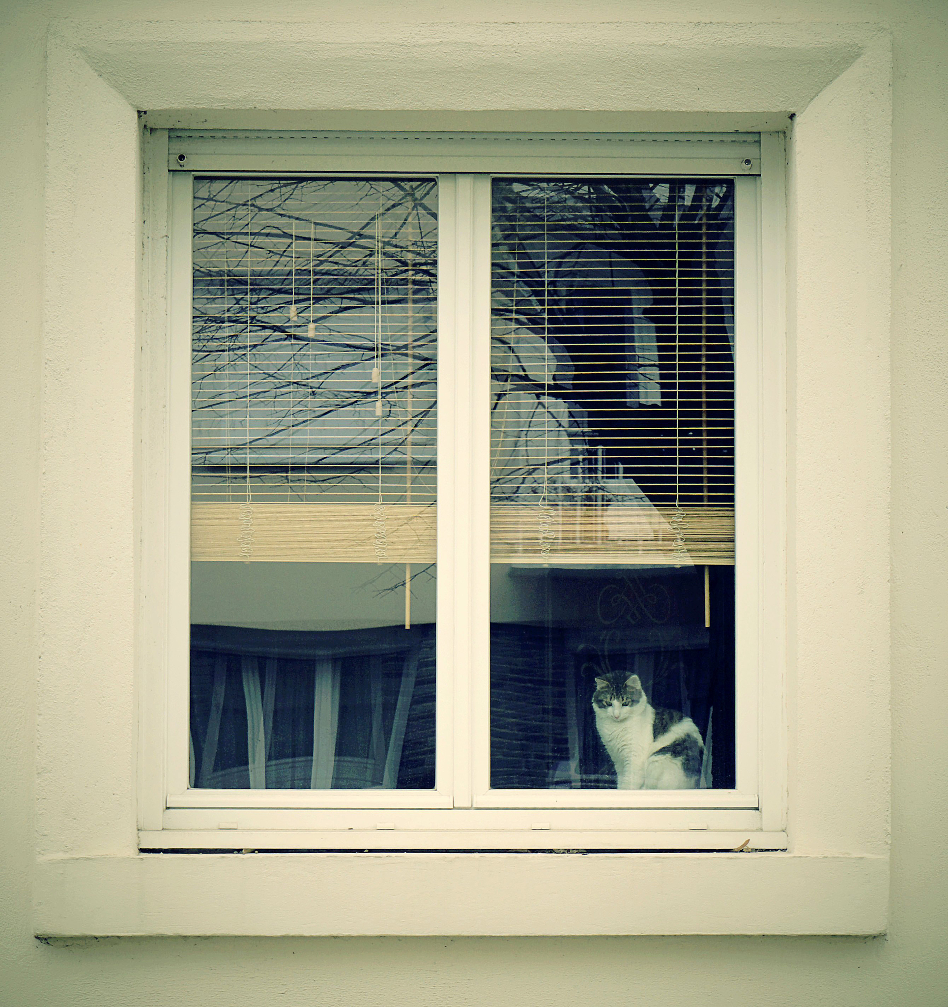 for h in rangemax_x for w in rangemax_y crop_img_arr = imgh strideh stride + heightw stridew stride + width #printcrop_img_arrshape crop_mask_ar