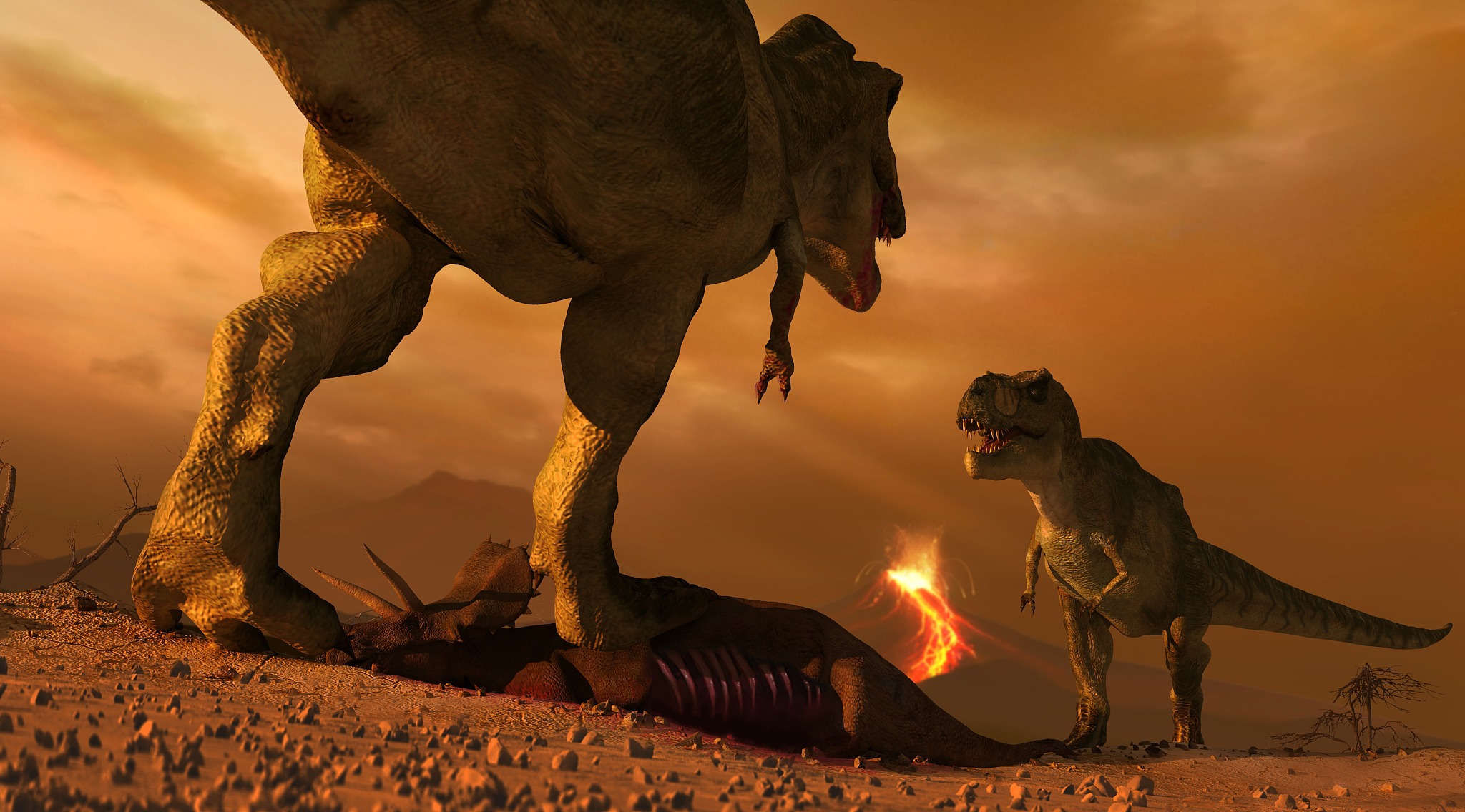 tyrannosaurs fighting over prey, illustration