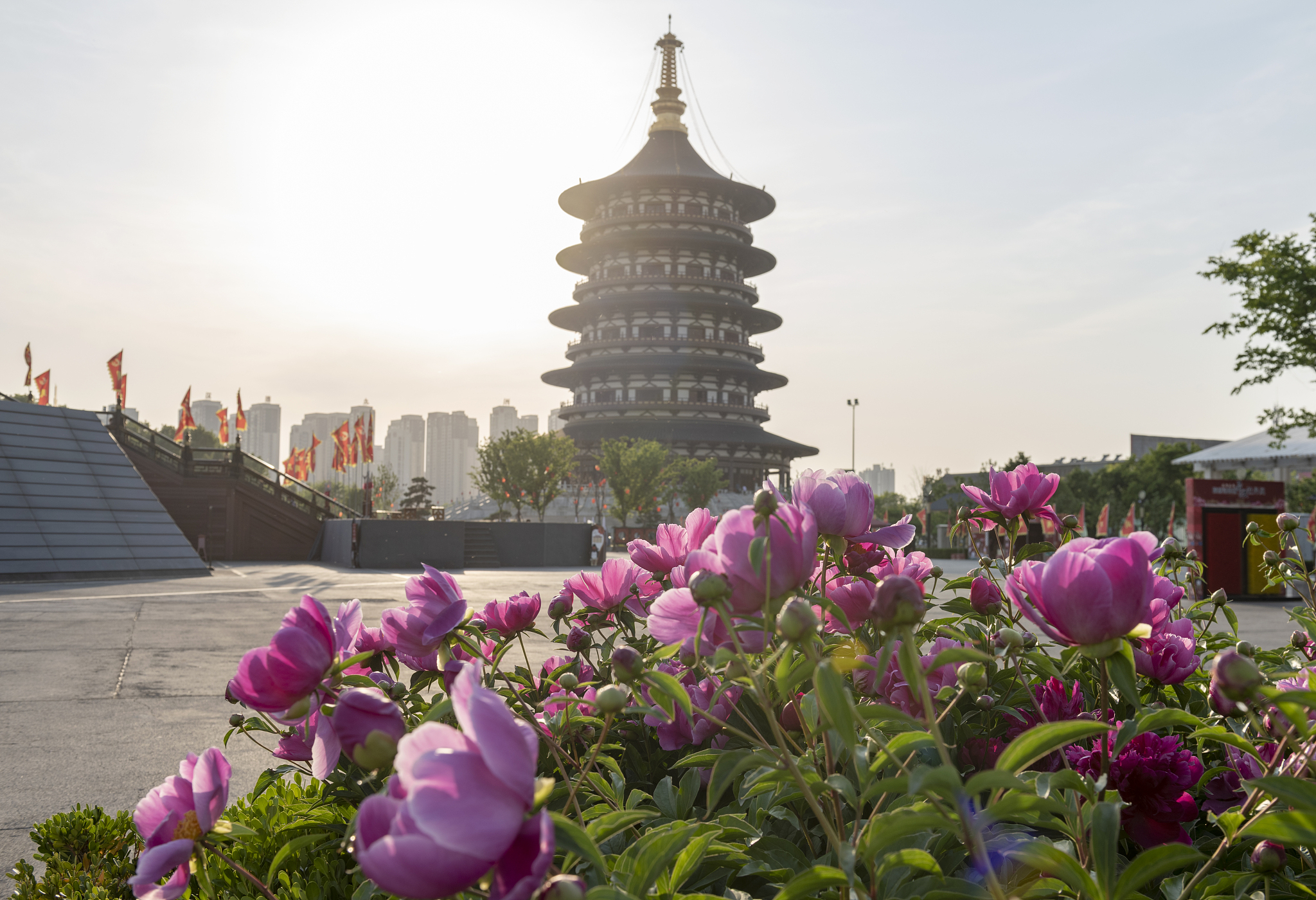 洛阳在哪里？带你揭秘十三朝古都的神秘面纱！