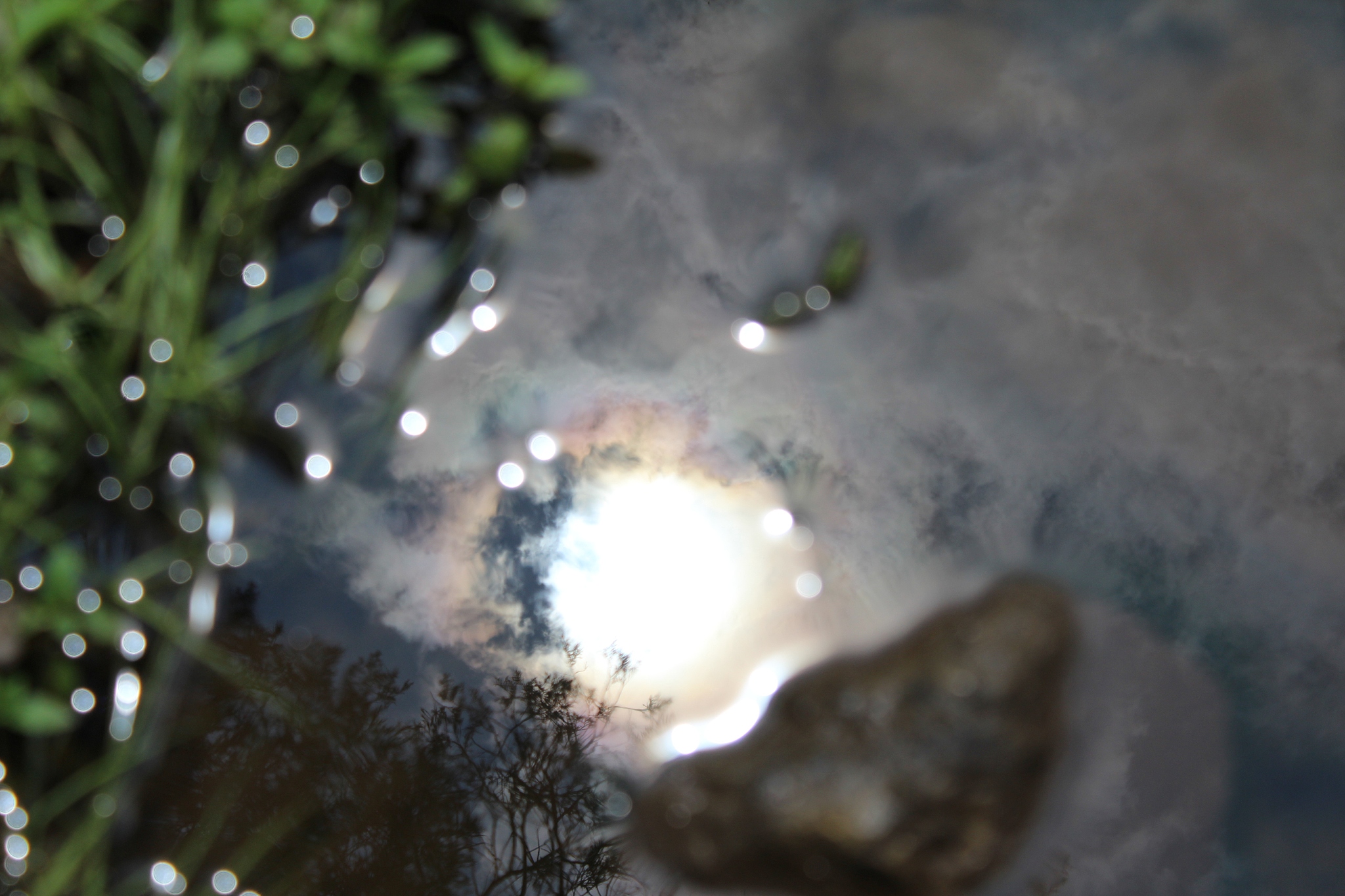 下雨天冥想：体验平静与安宁