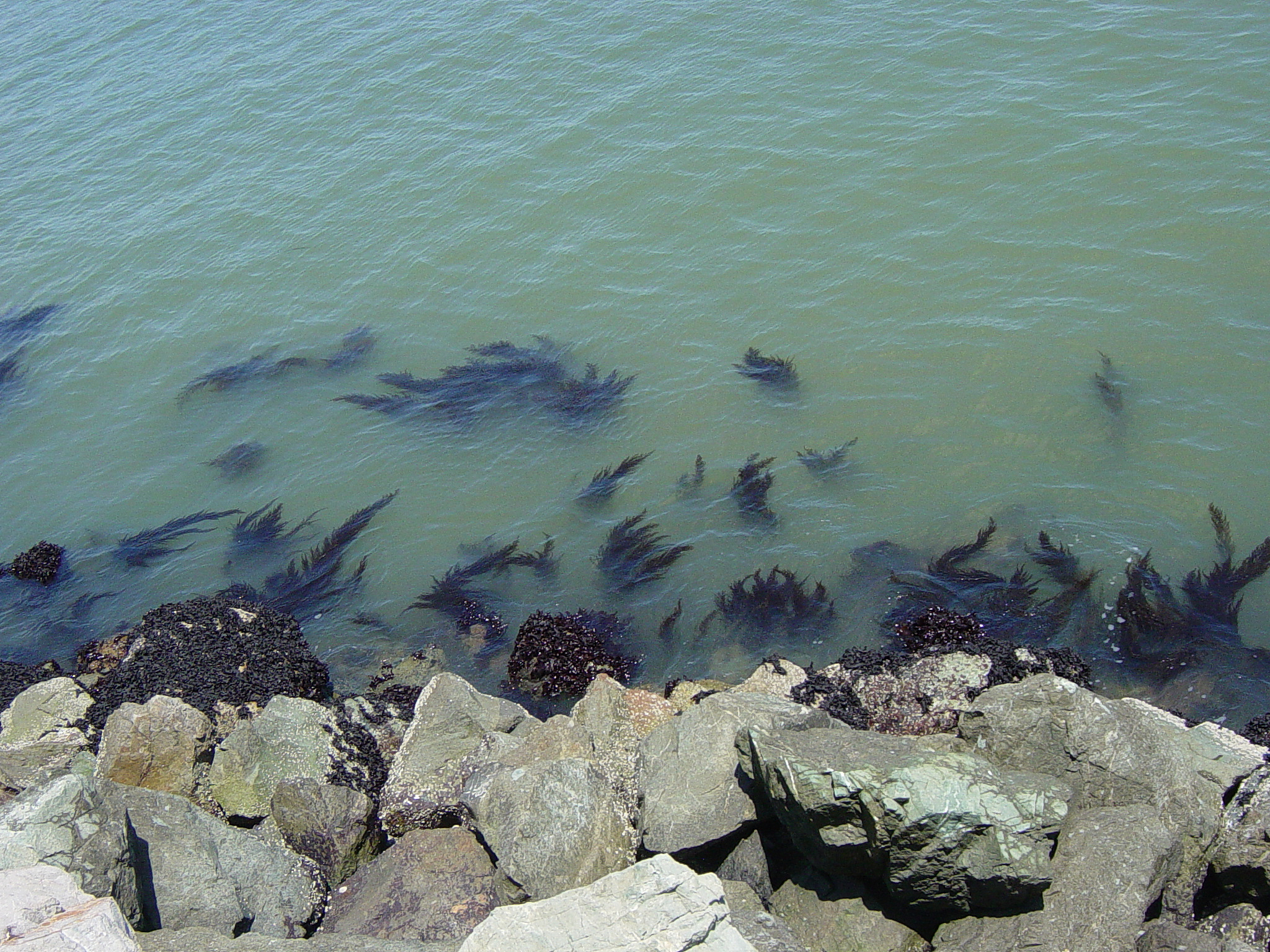 海水中含量最多的物质：氯化钠及其重要作用