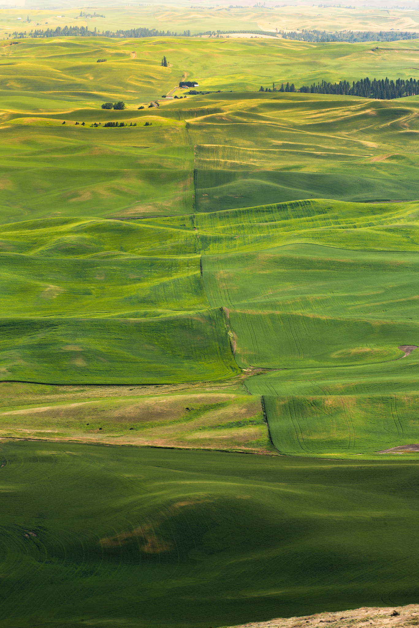 the beauty of farmland
