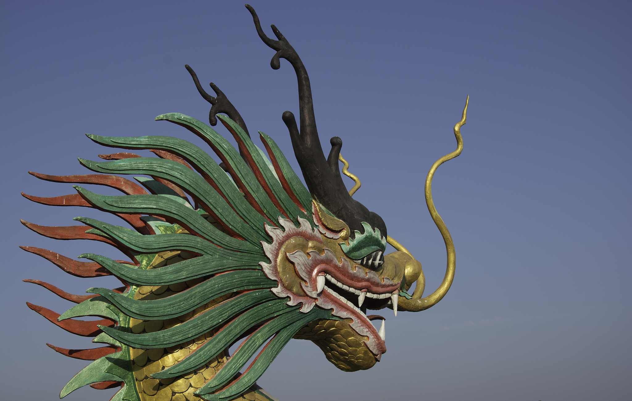 dragon heaa
