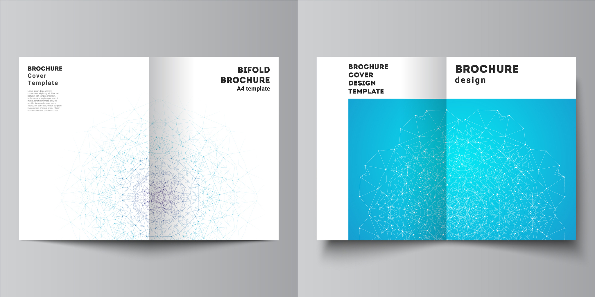 layout two a4 format modern cover