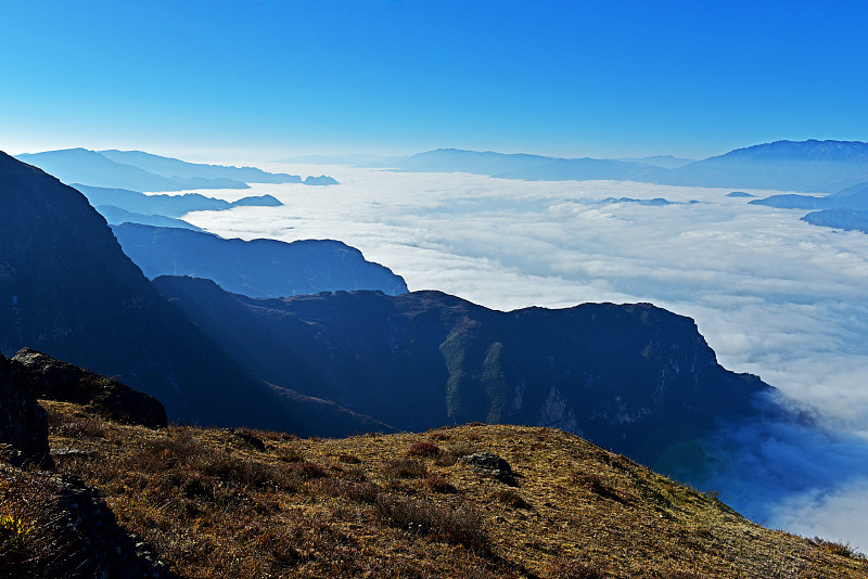 昭通卫生职业学院昭通卫生学校有哪些专业及什么专业好