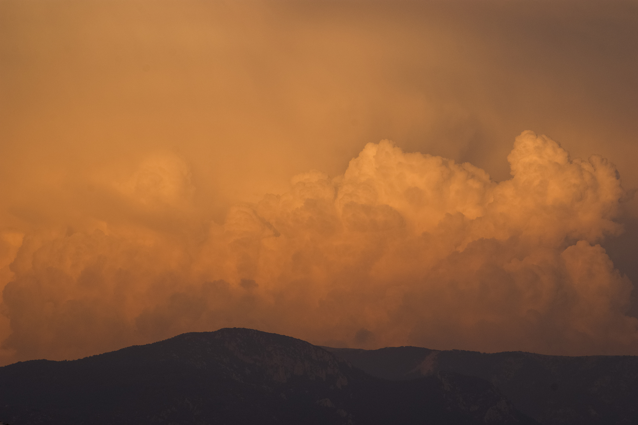 四川攀枝花机场气温日变化特征