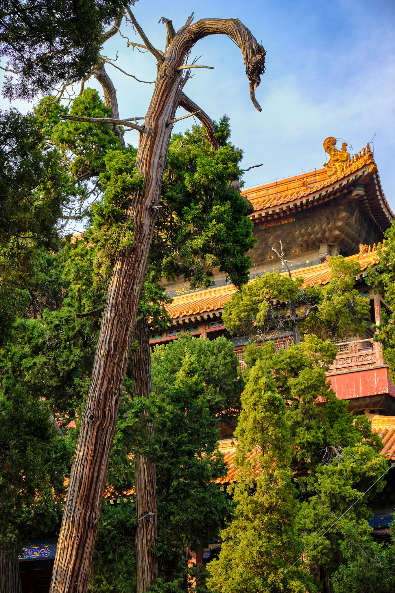 中国的风水文化的重要性和人们对它的态度是怎样的？