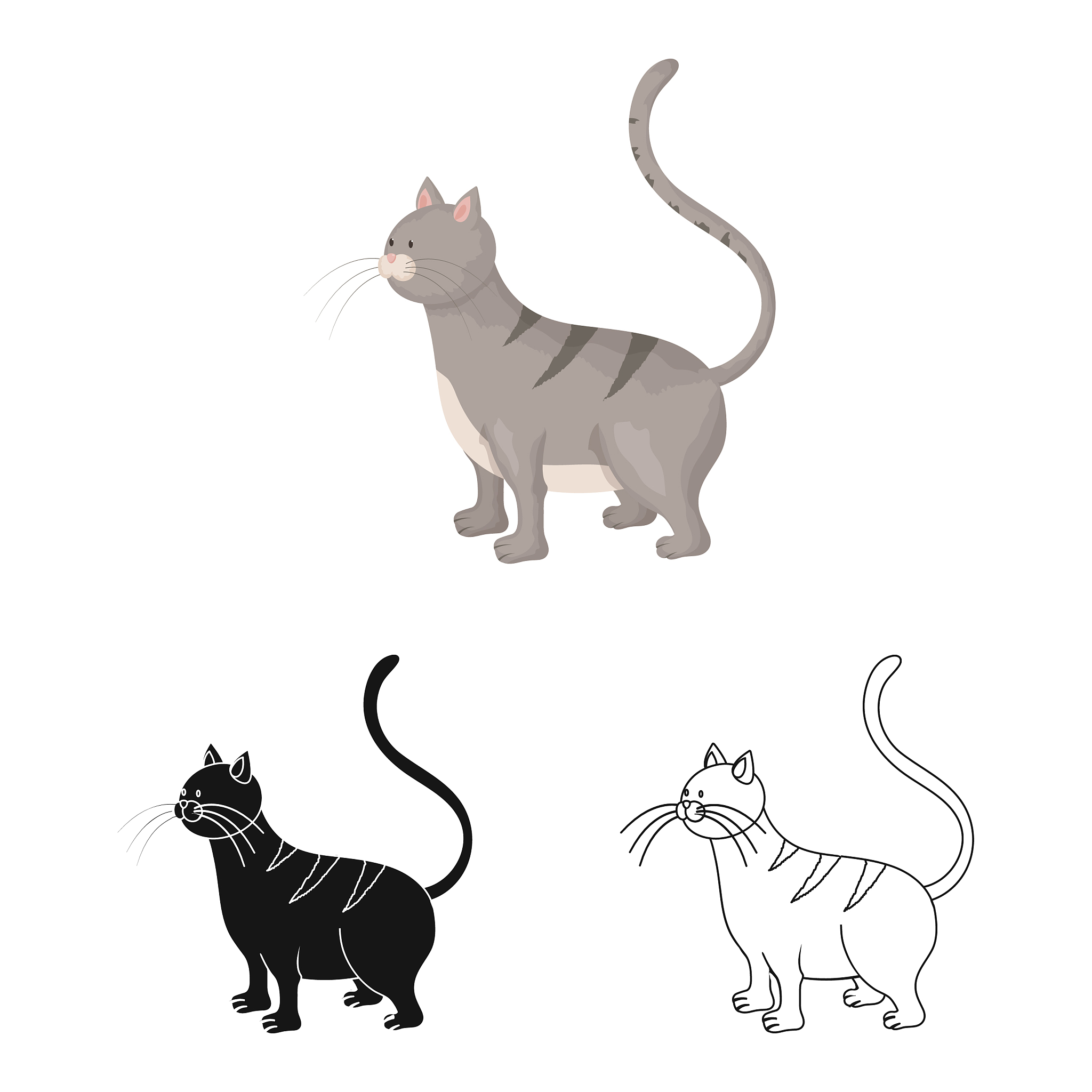 generate a graph of cat in form of svg