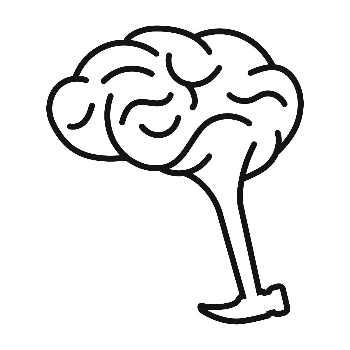 大兴安岭职业学院小学教育专业专业课程设置有哪些