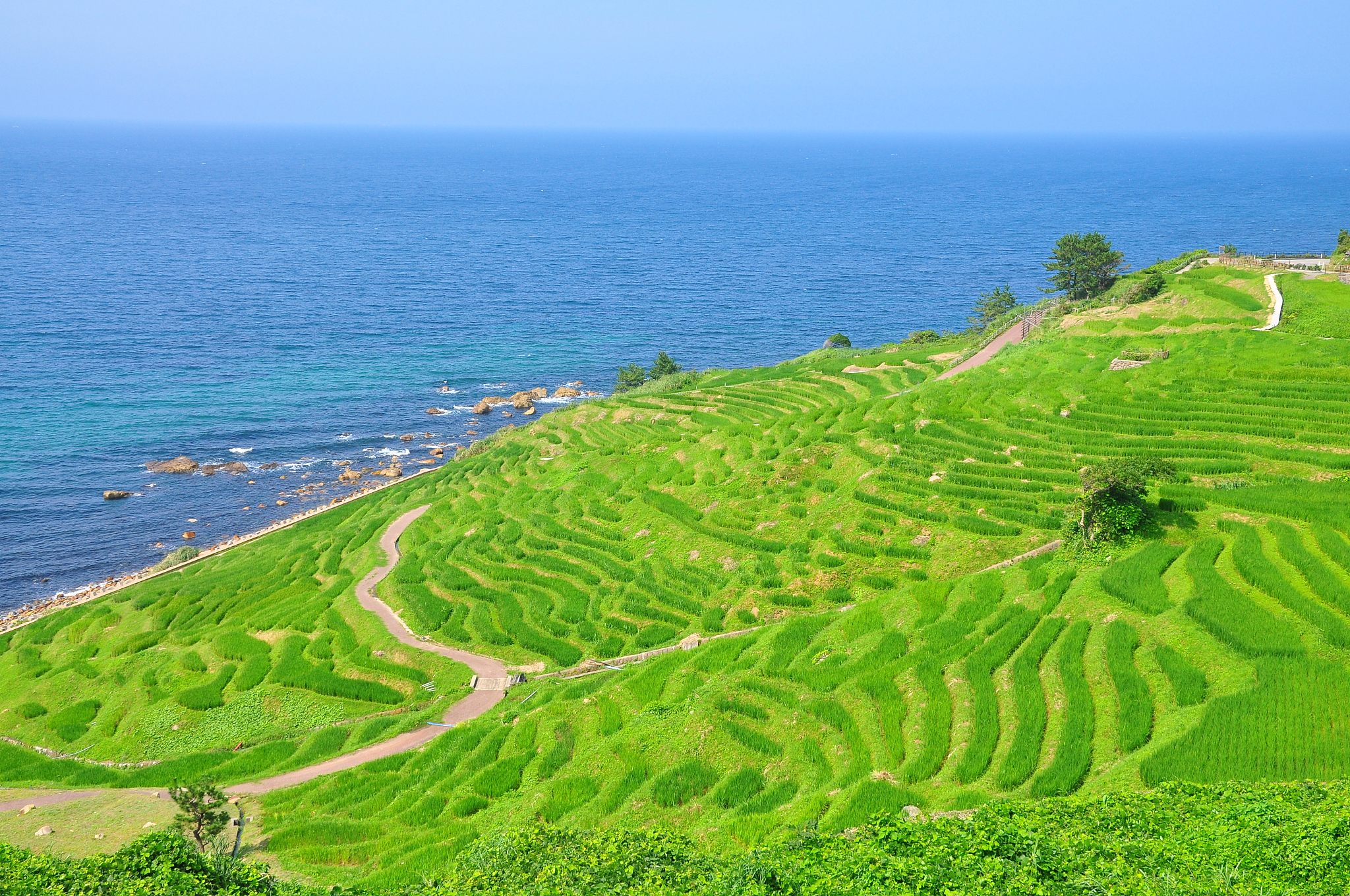 厦门城市职业学院涉外旅游专业怎么样？优势分析及就业前景