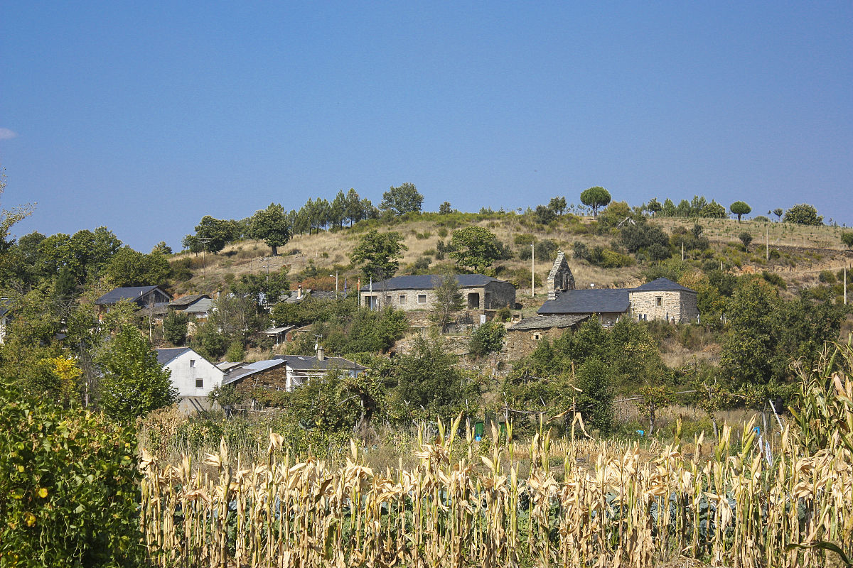 乡村生活真的比城市生活好吗？他仍然抱有这种幻想