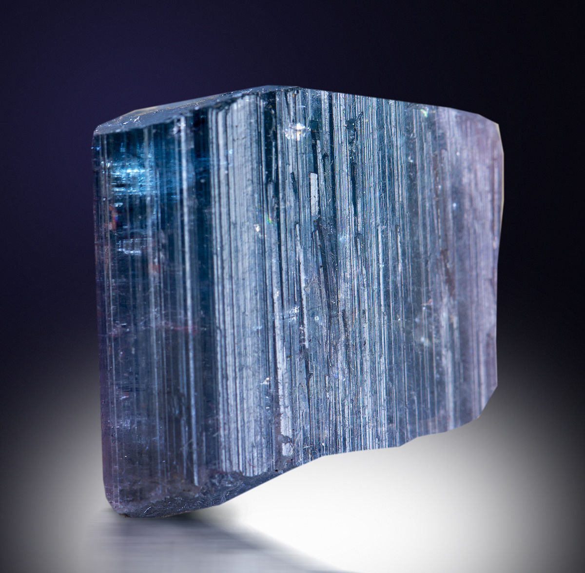 Stain Tissue Slides with Crystal Violet for Enhanced Visibility