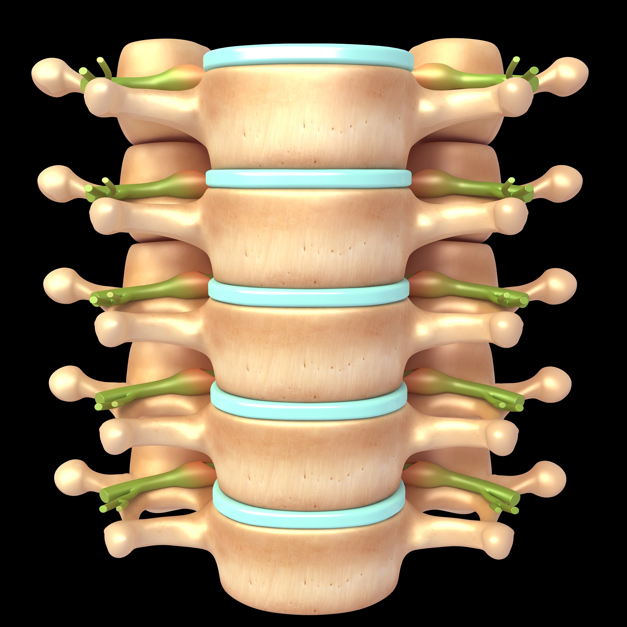 有齿突的椎骨有哪些