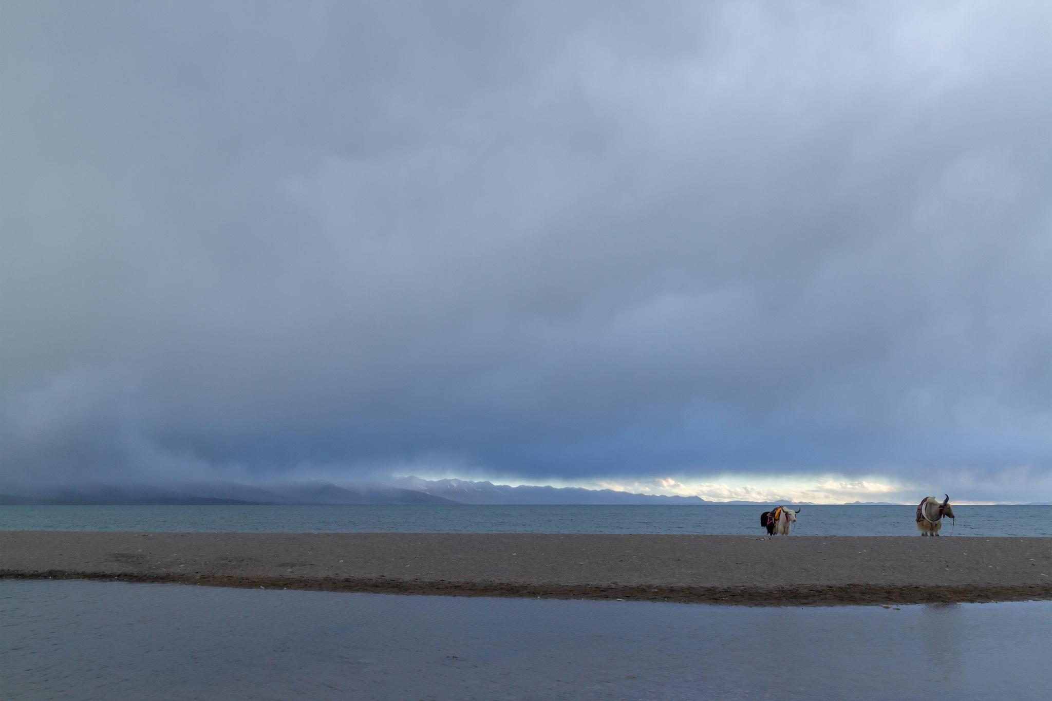 针对西藏自治区在改革开放和社会主义现代化建设新时期经济、政治、文化、社会、生态发展变革与成就为主题做一份客观调查问卷