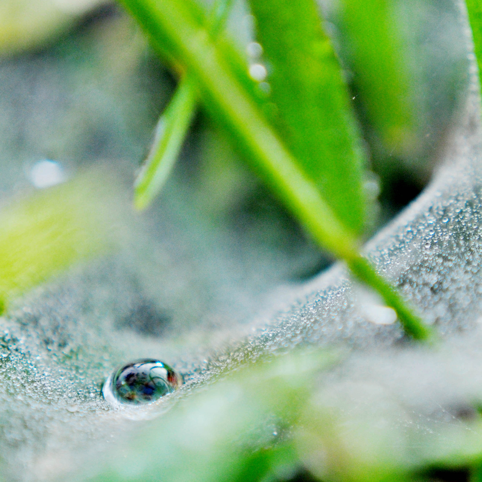 雨丝是什么意思_词语雨丝的意思