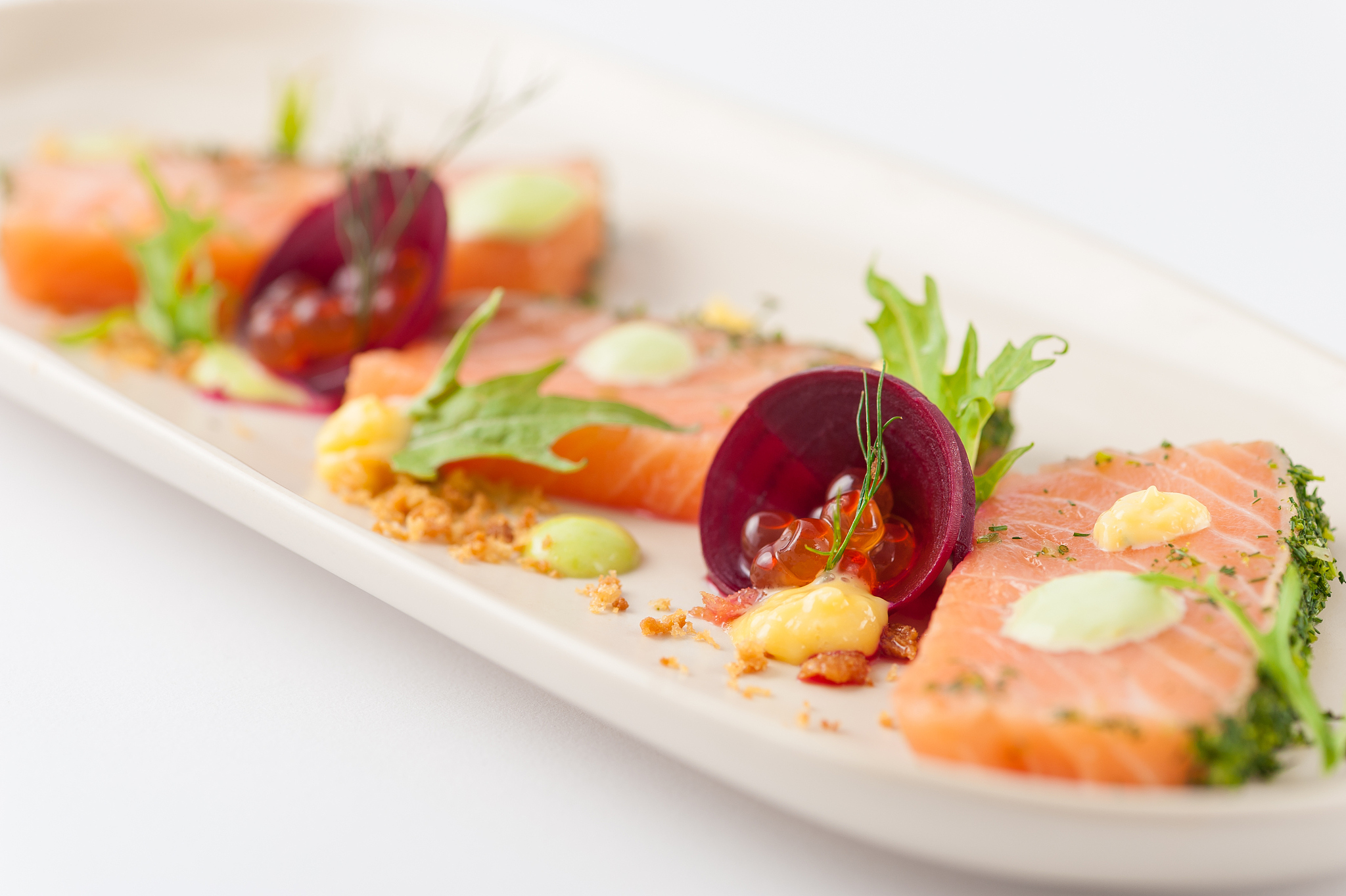 重庆医药高等专科学校食品质量与安全专业到底行不行设有哪些课程