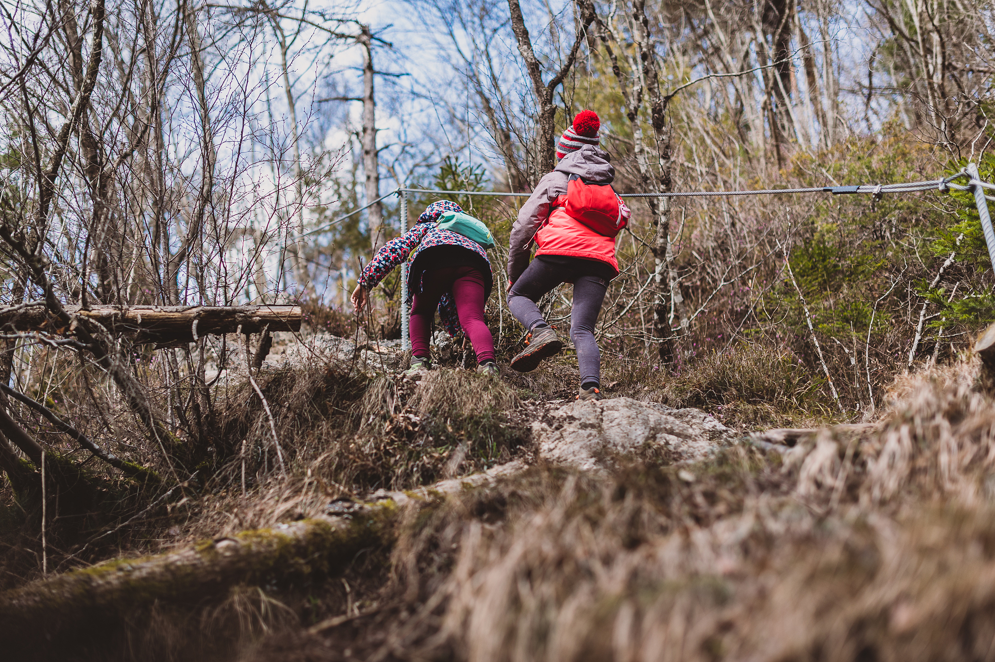 奶奶家后的小山：我的童年乐园