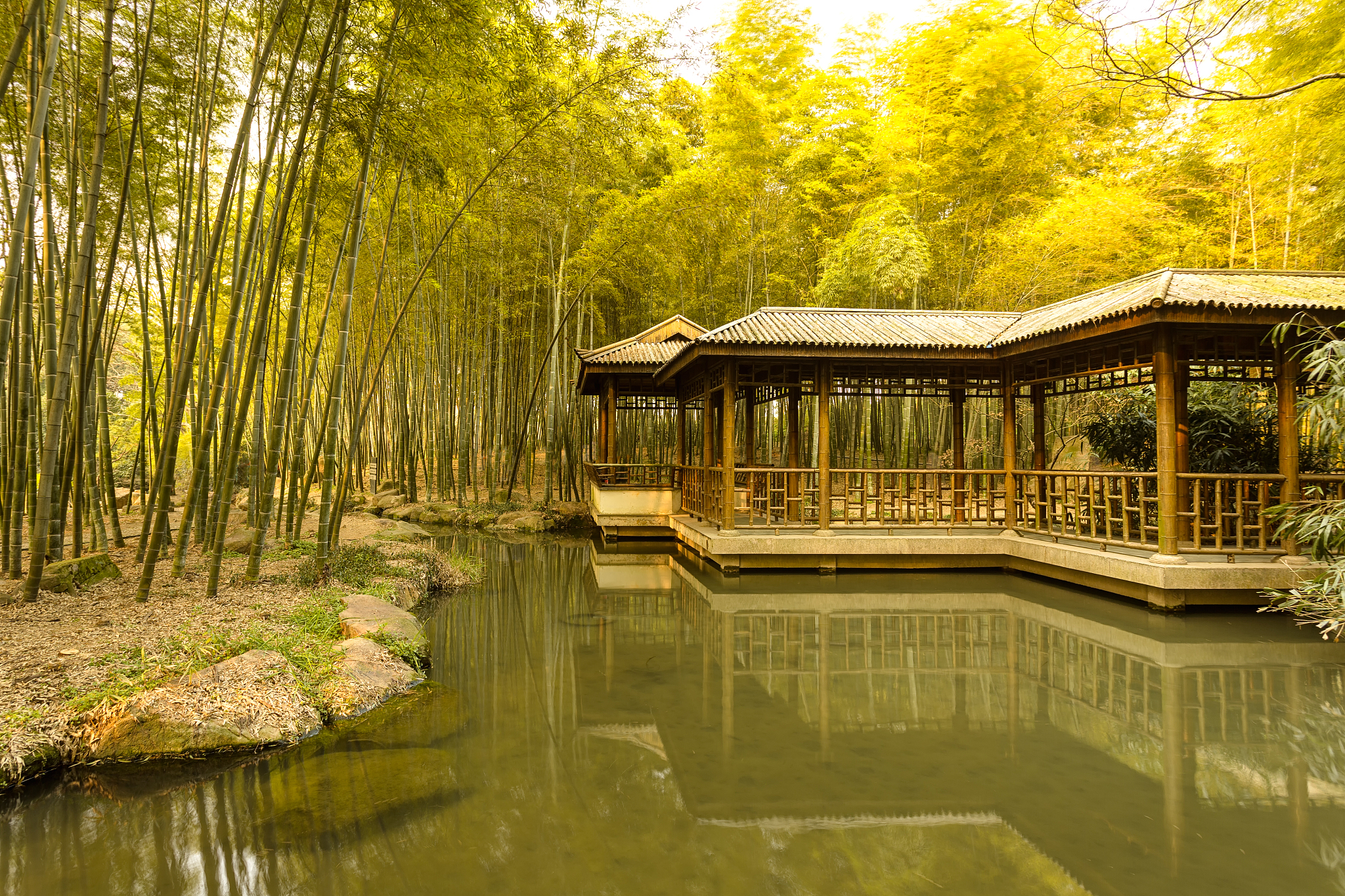 云南省林业高级技工学校2022年招生简章 - 报考条件/专业设置/学费