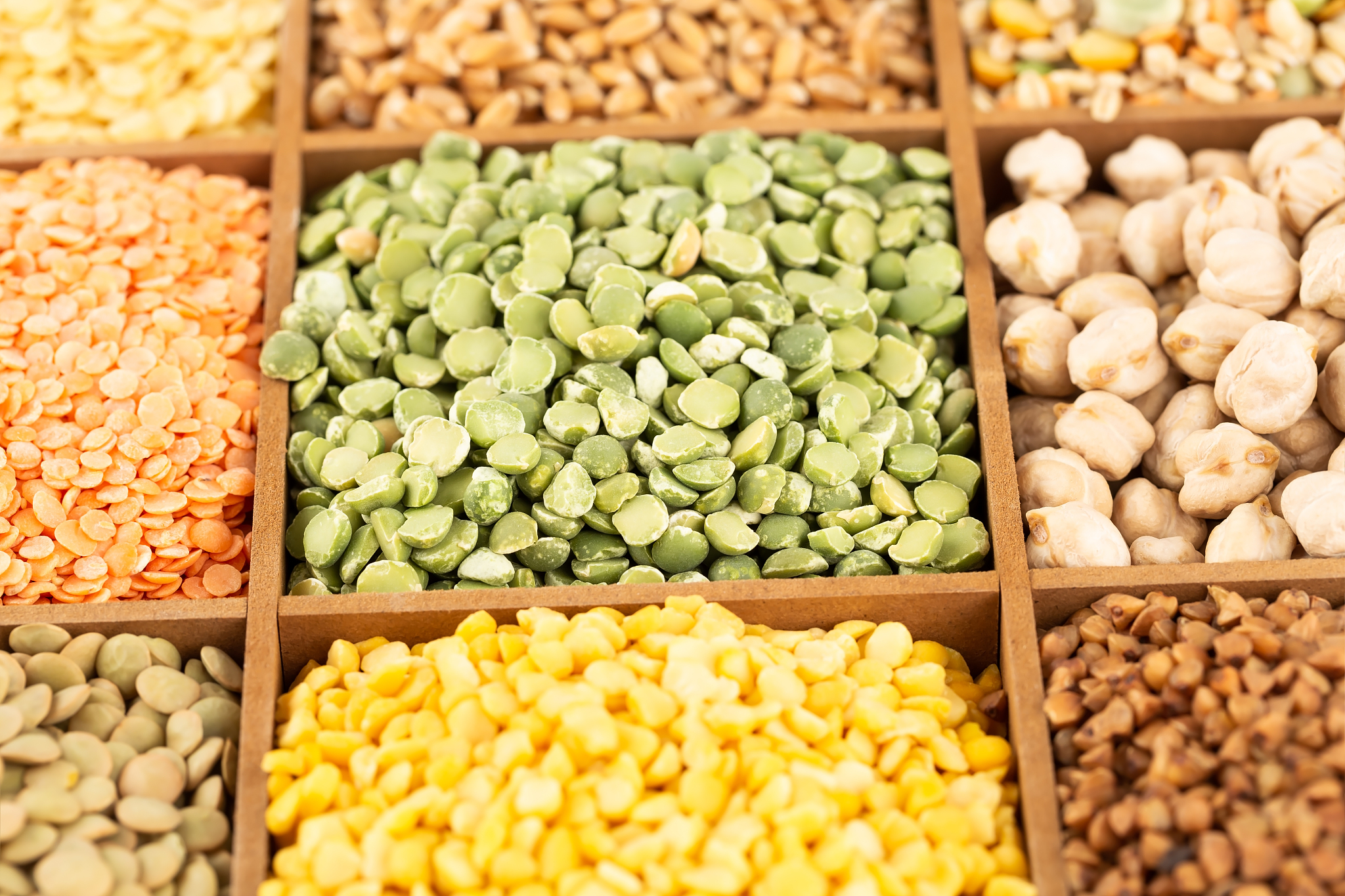 the collection of different groats