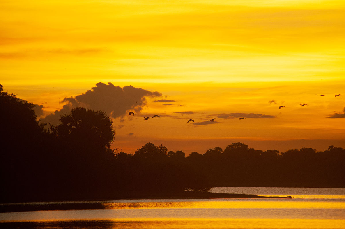 请用100字描述安江日落场景