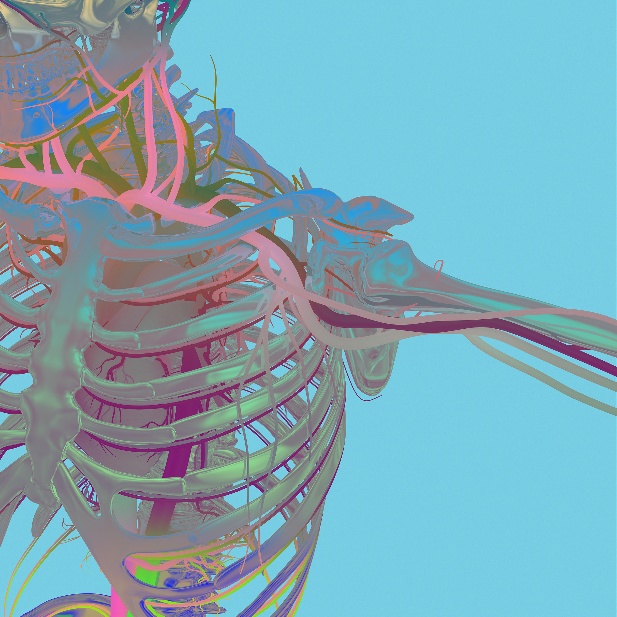 3D Unet CT分割结果三维可视化Python教程
