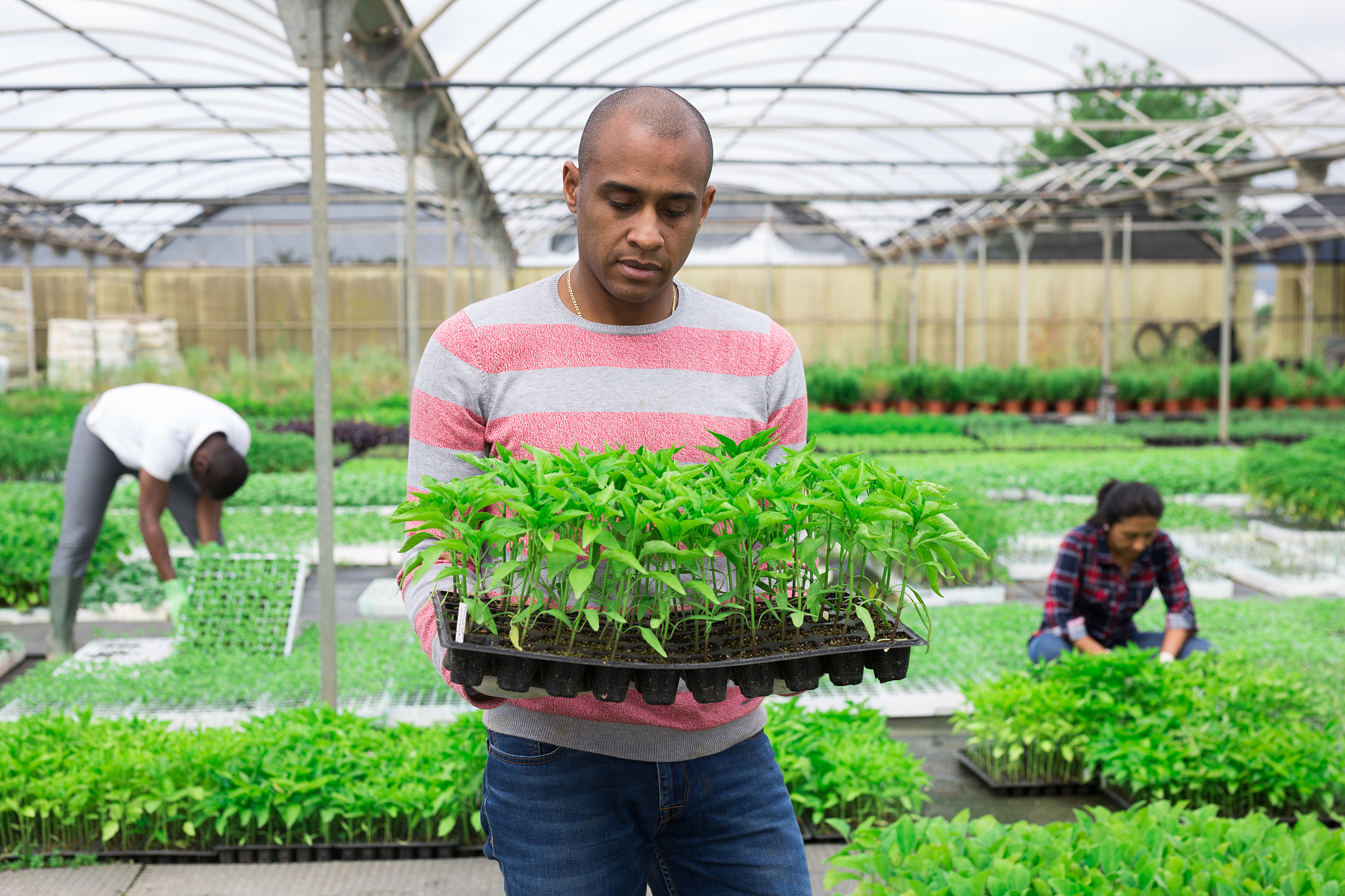 成都农业科技职业学院教学水平怎么样？ - 值得关注的农业科技发展方向