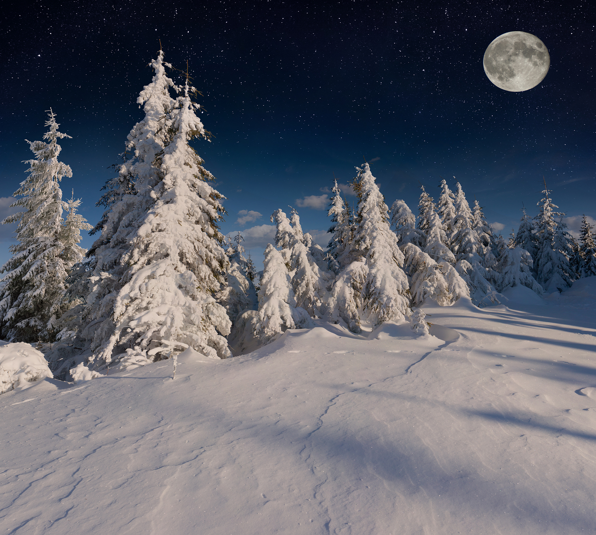 冬天的景物描写