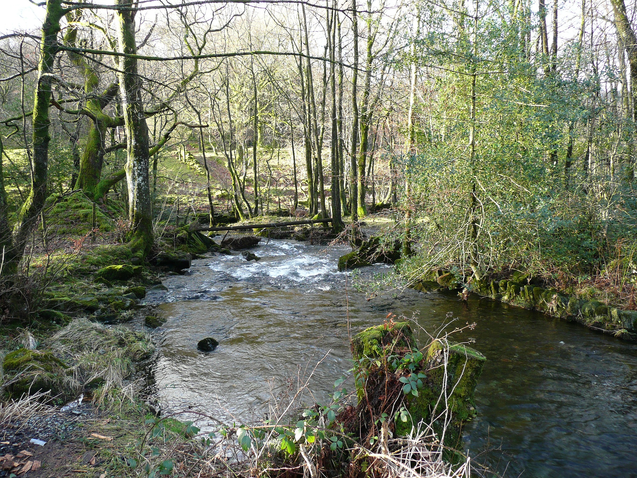 but it has its own beauty thanks to the clear fresh-looking water
