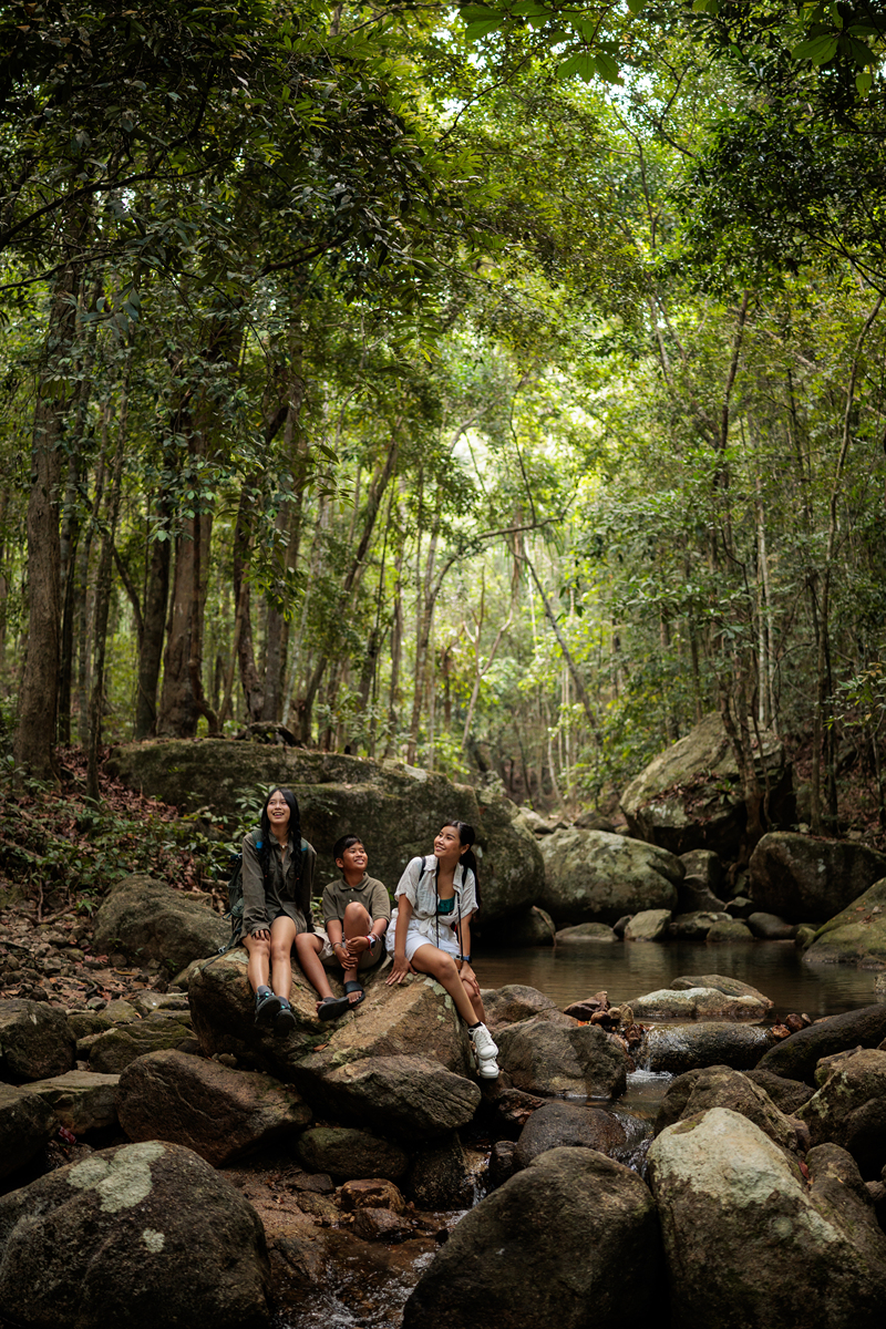 林雅之旅：探索自然与文化的奇妙旅程