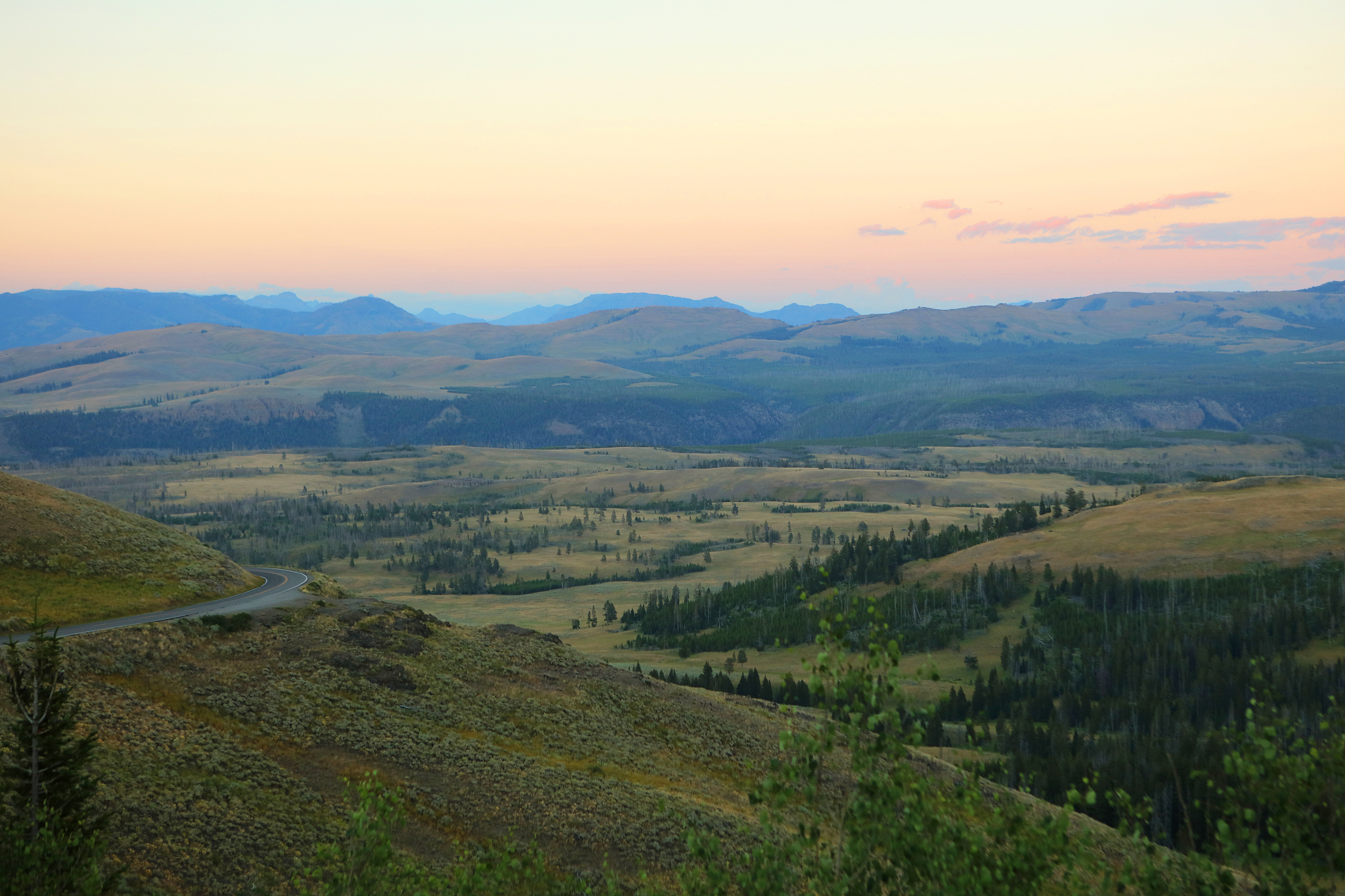 mount washburn dunraven pass in yellowstone national park