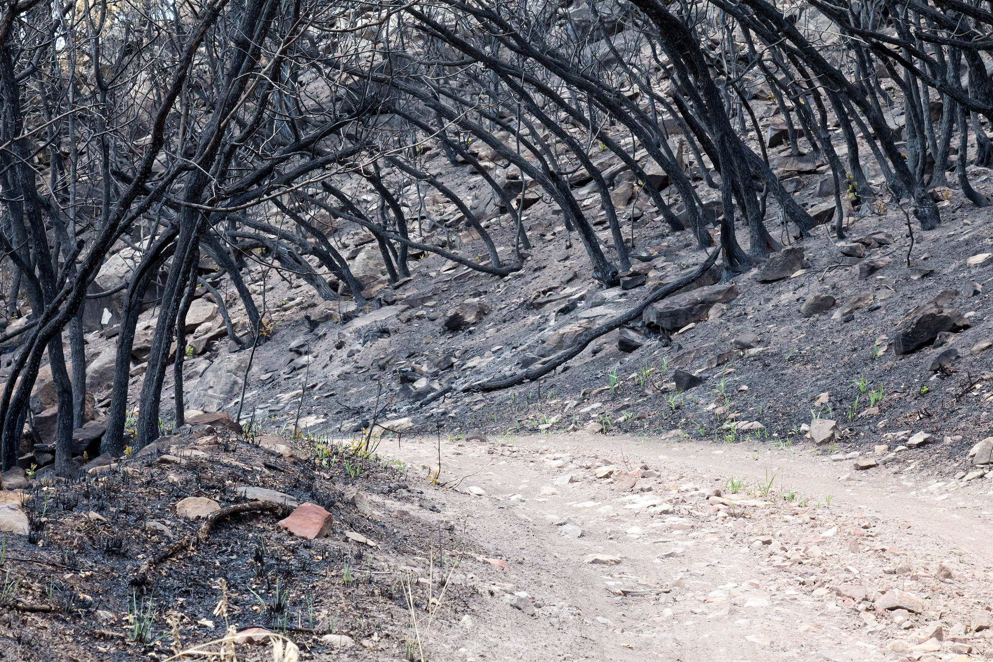 当易拉罐被一位神使用时那么他便称之为神器。男人投掷易拉罐的动作在女人瞳孔中不断放大下一秒朝女人撕咬扑去的老鼠怪竟被易拉罐击中血肉瞬间爆开女人眼神中充满震惊这像话吗？哪怕他等级再高能力再强也不可能用一个易拉罐就能猎杀怪物啊这易拉罐莫非是隐藏的神器吗？可还没等女人多想男人再次丢来的易拉罐又将一头怪物的脑袋轰爆。金佑元现在有些愤怒不眠不休猎杀了七天七夜就睡了这么一会觉还被吵醒这一刻他满满的都是起床器于是