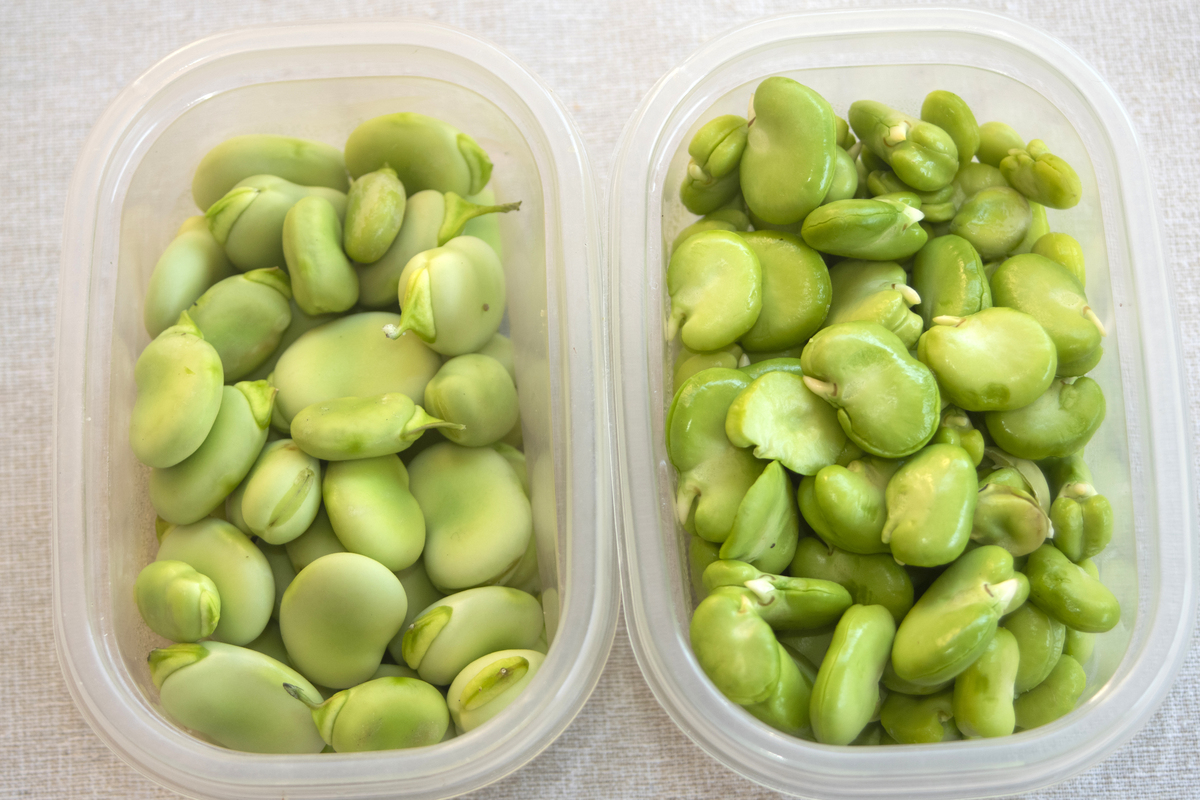 鲜豌豆可以直接冰箱冷冻吗，