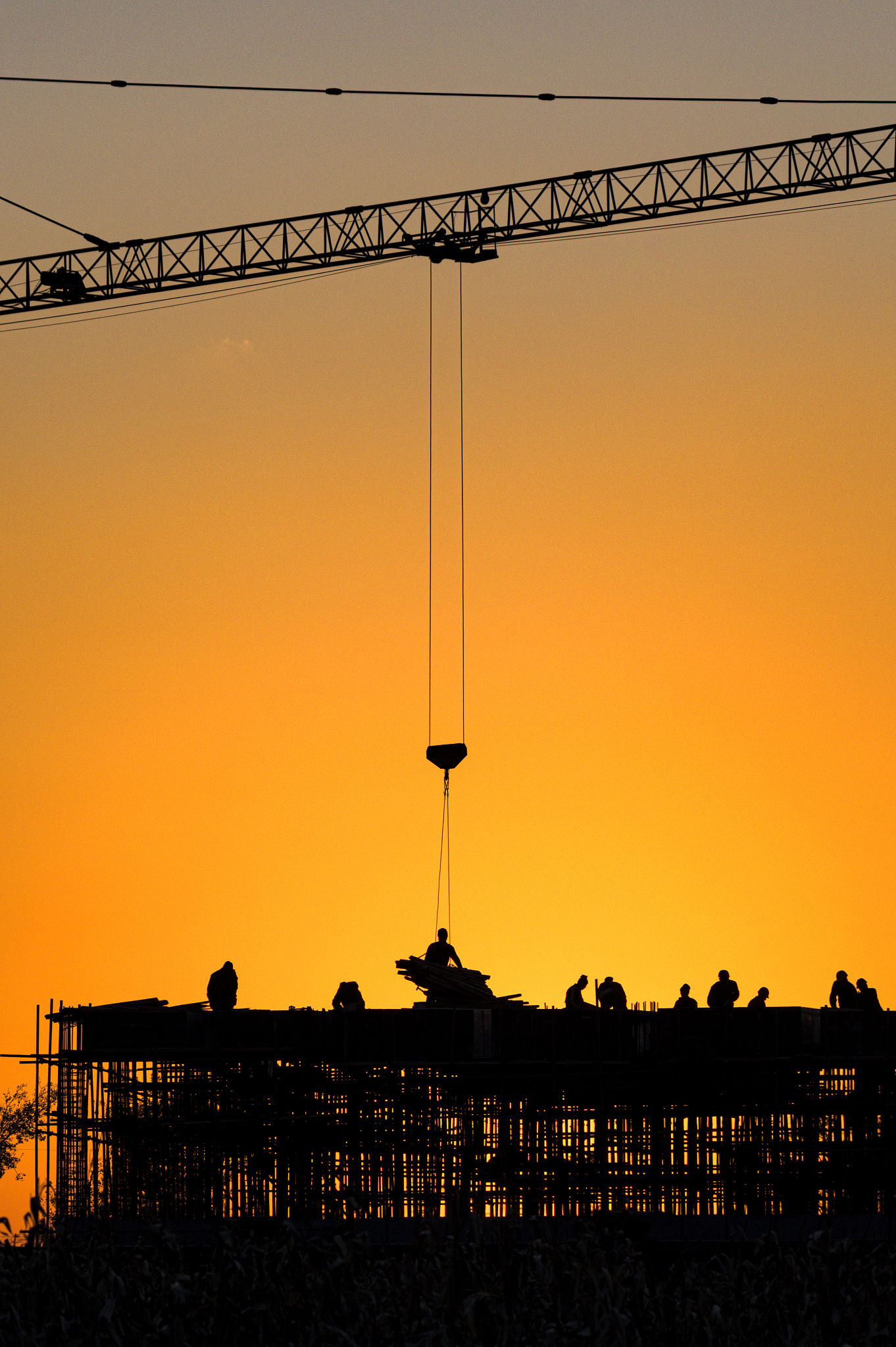 1 《劳动教育高中版》：该教材主要涵盖了劳动教育的知识、技能和态度等方面内容全面、生动易懂适合高中生使用。2 《劳动教育与实践高中版》：该教材注重实践教学旨在培养学生的动手能力和实践能力同时也包含了一些理论知识和案例分析。 你可以从自然、生活、科技、社会几个方面用300-500字总结一下《劳动与生活高中版》《劳动与技术高中版》《劳动教育高中版》《劳动教育与实践高中版》吗？