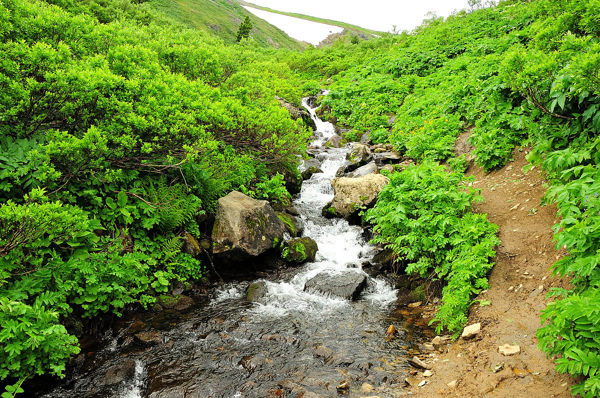 山西商务学校2023年好吗正规吗 好不好